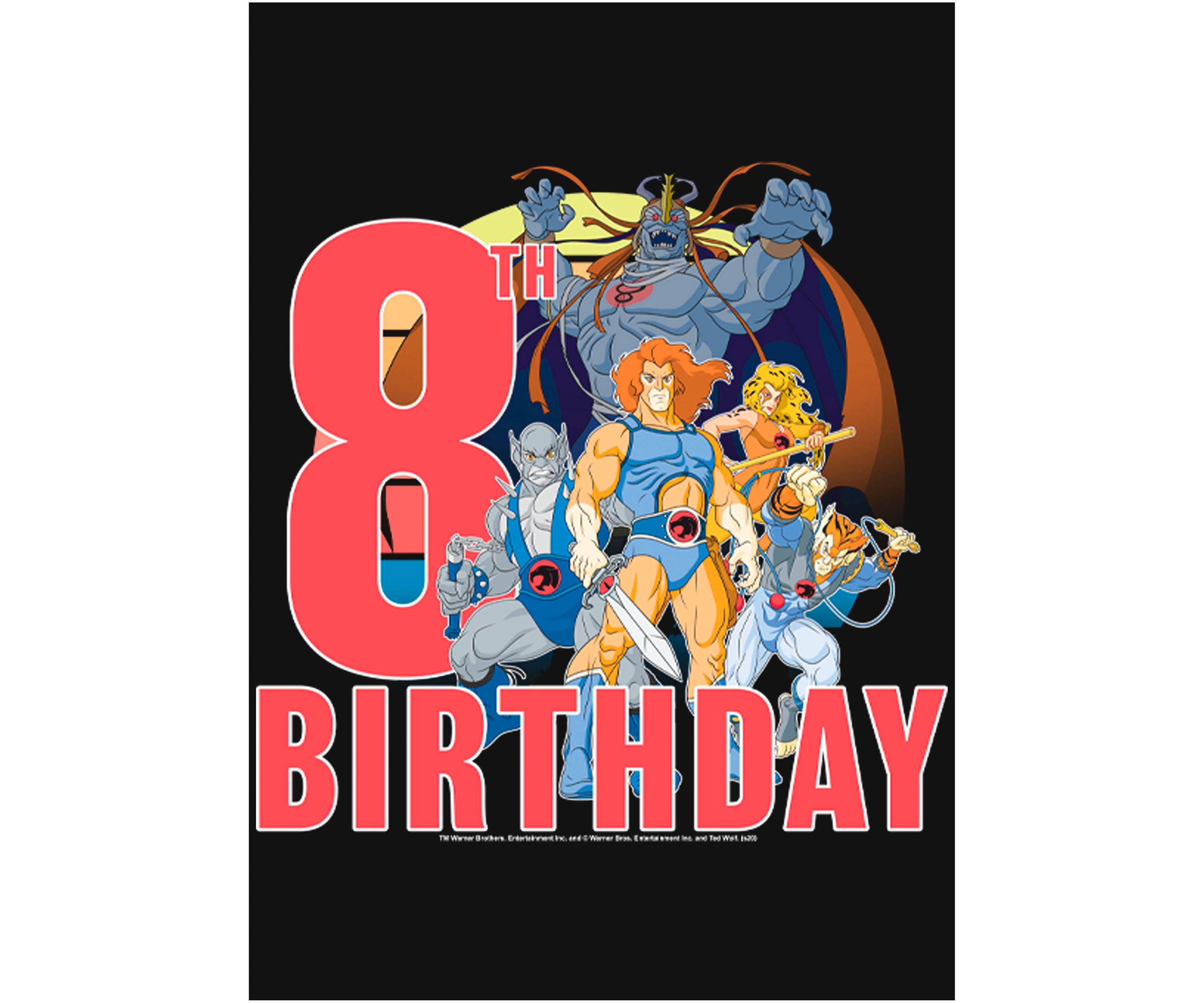 Girls 46x Thundercats ThunderCats 8th Birthday Graphic Top