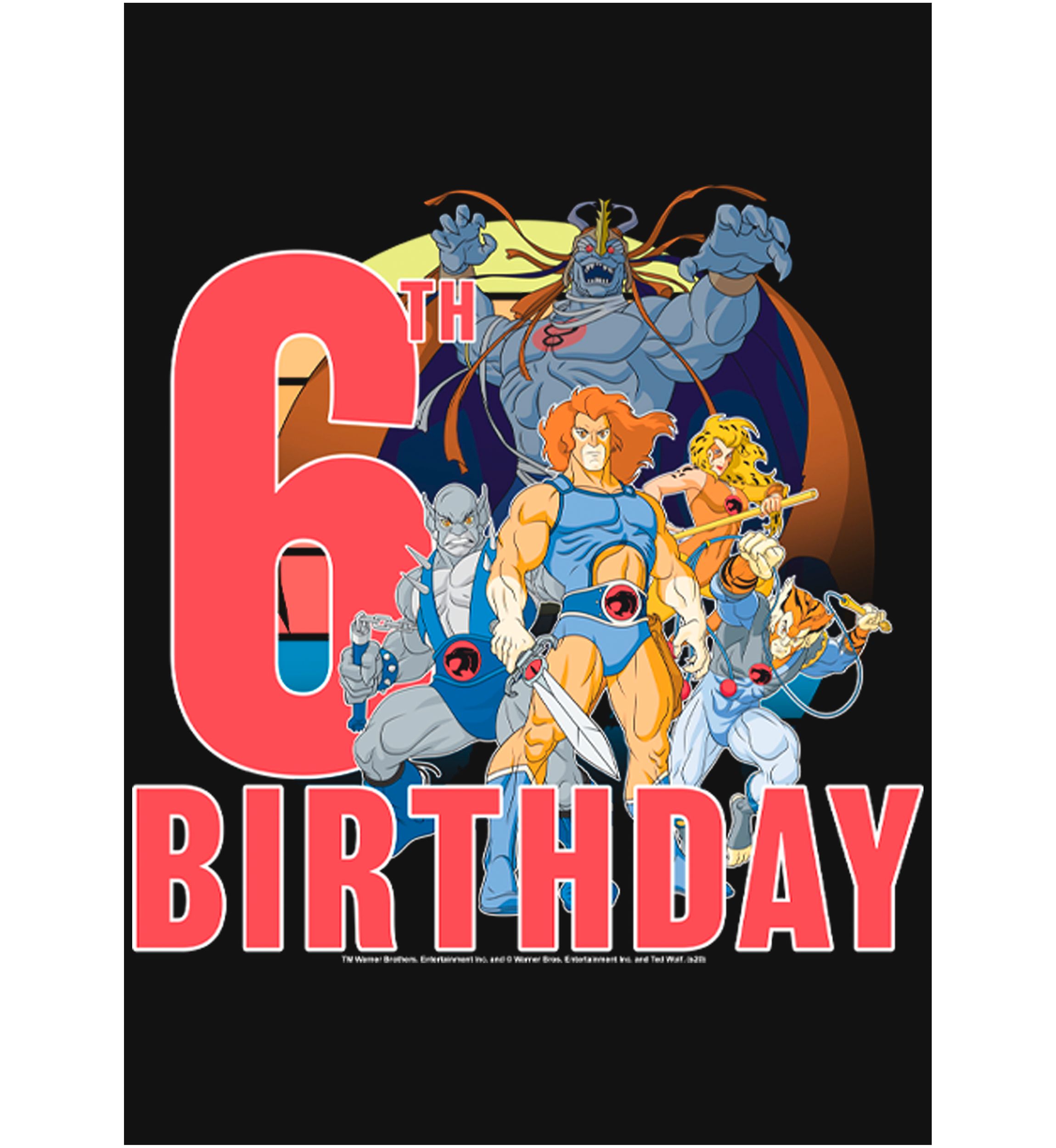Girls 46x Thundercats ThunderCats 6th Birthday Graphic Top