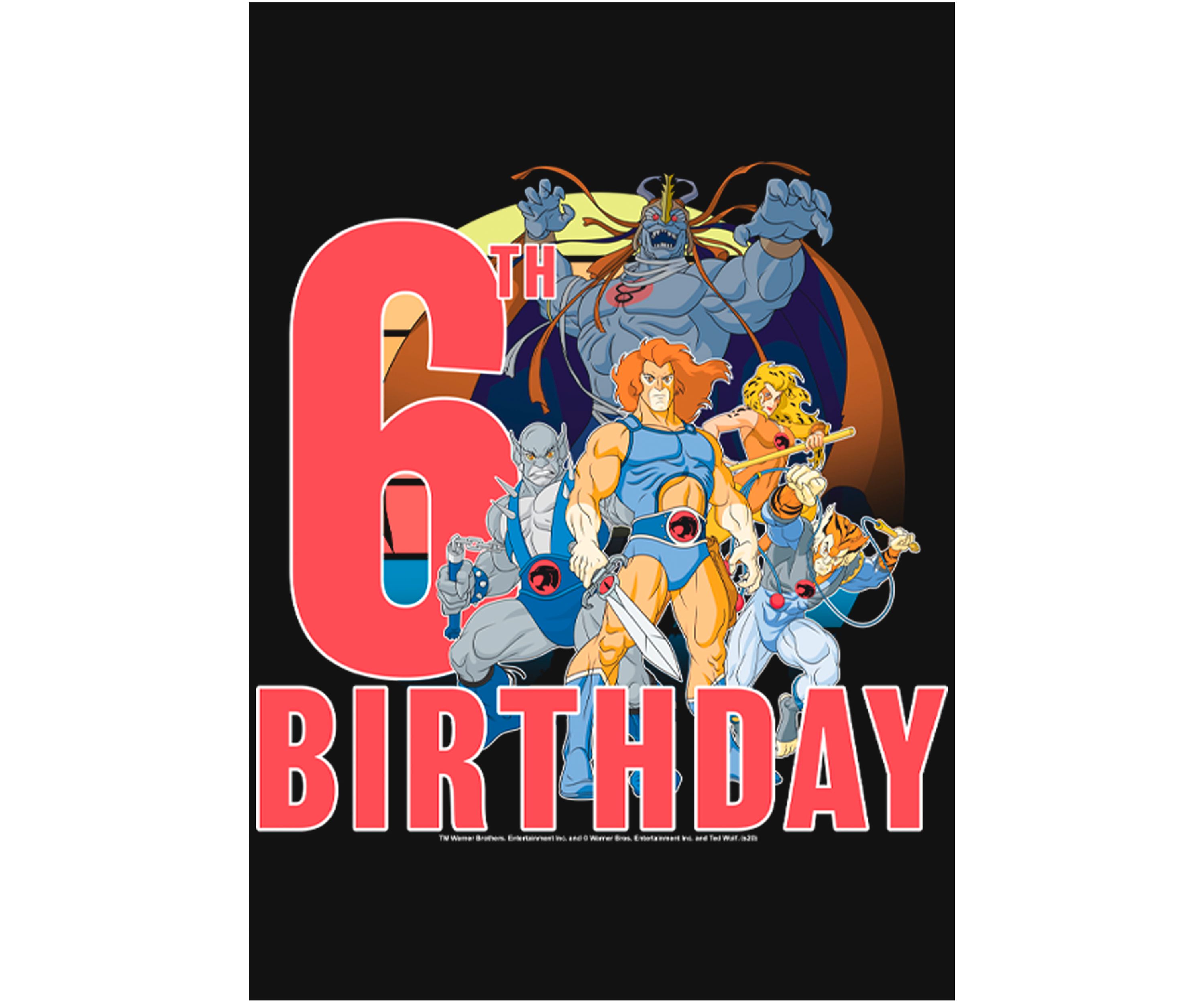 Girls 46x Thundercats ThunderCats 6th Birthday Graphic Top
