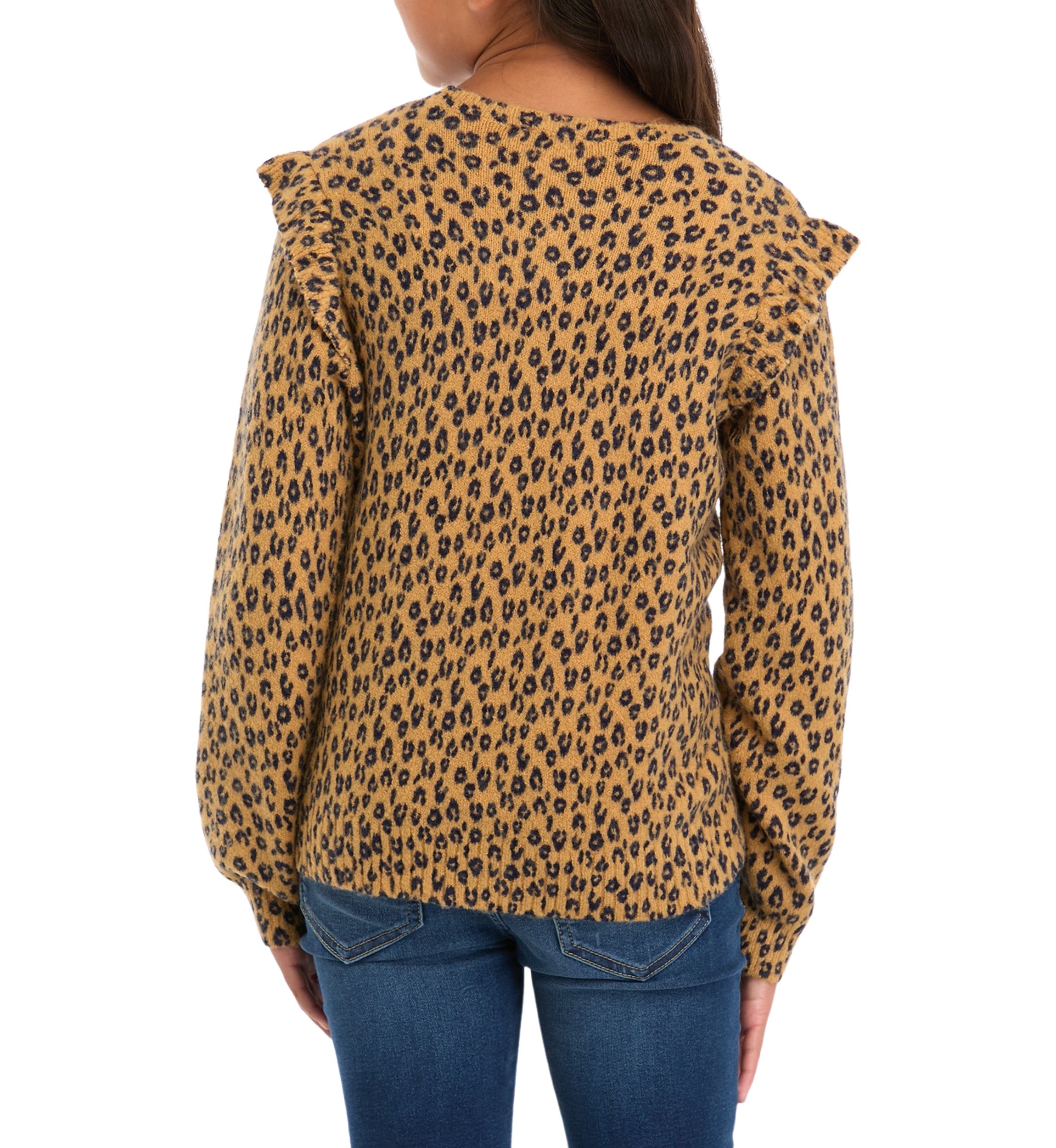 Girls 7-16 Printed Ruffle Sweater