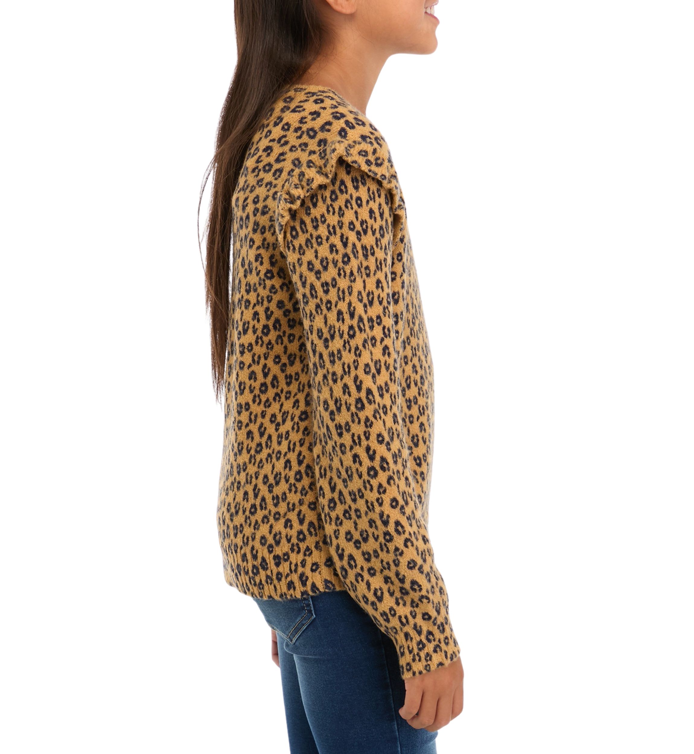 Girls 7-16 Printed Ruffle Sweater