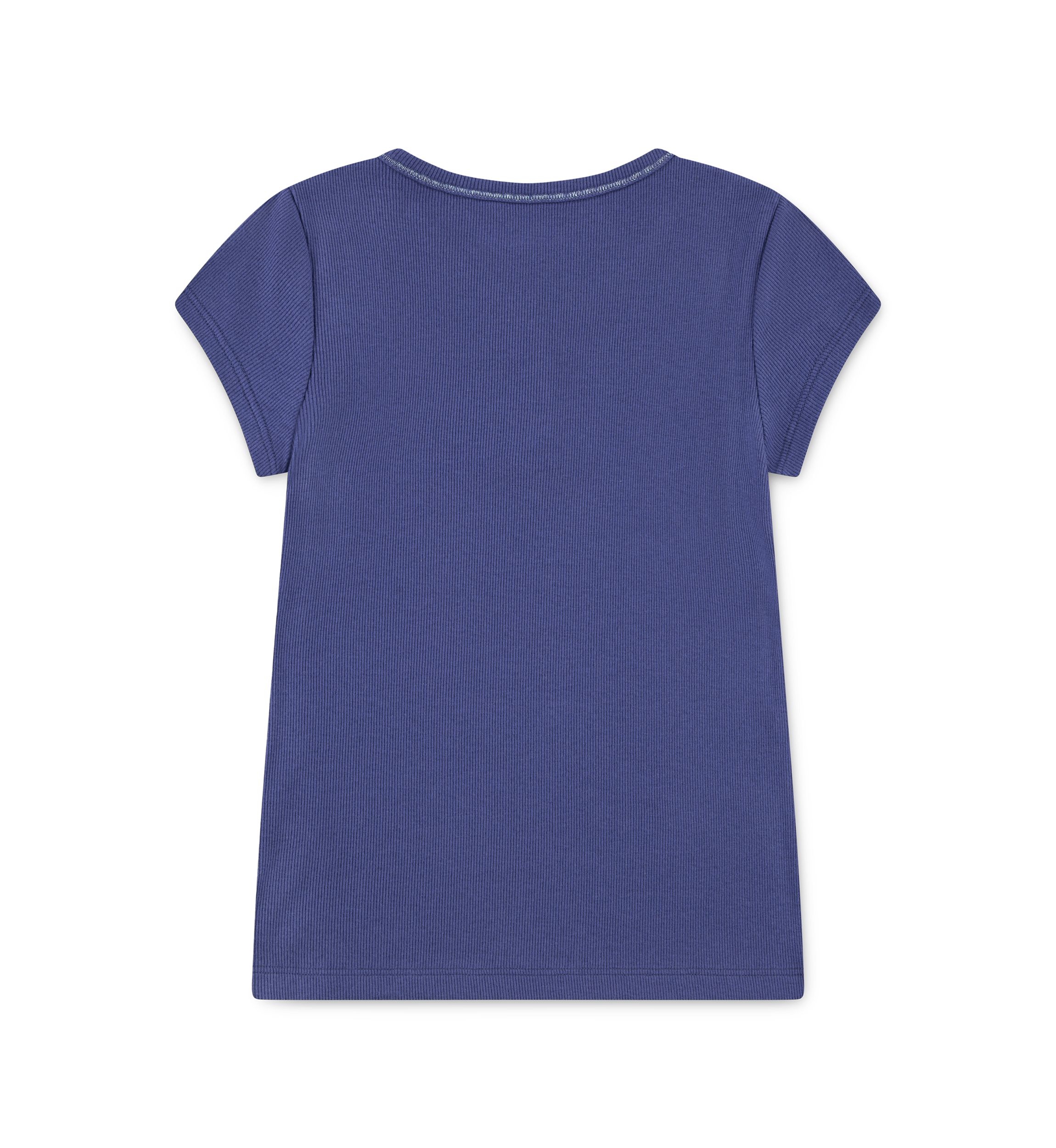essential henley shirt