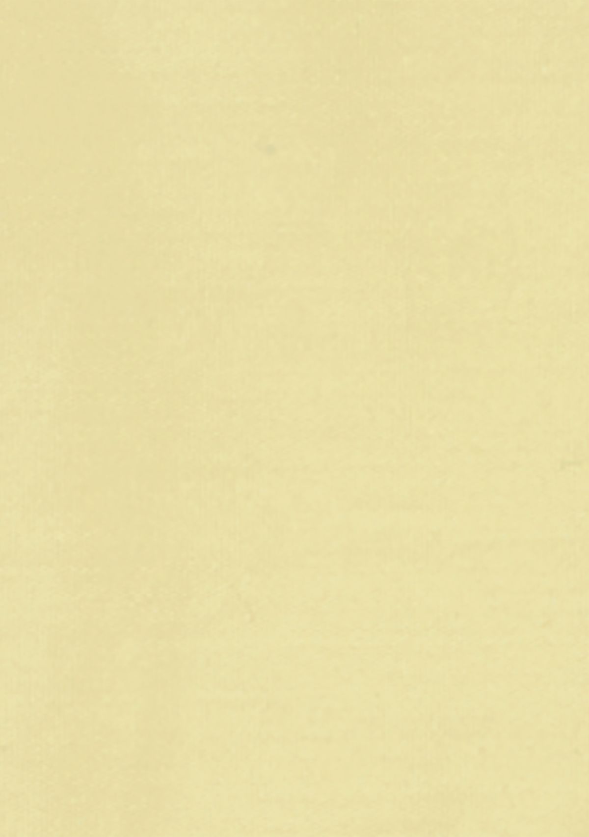 Boys 4-7 Long Sleeve Stretch Solid Poplin Shirt and Bowtie