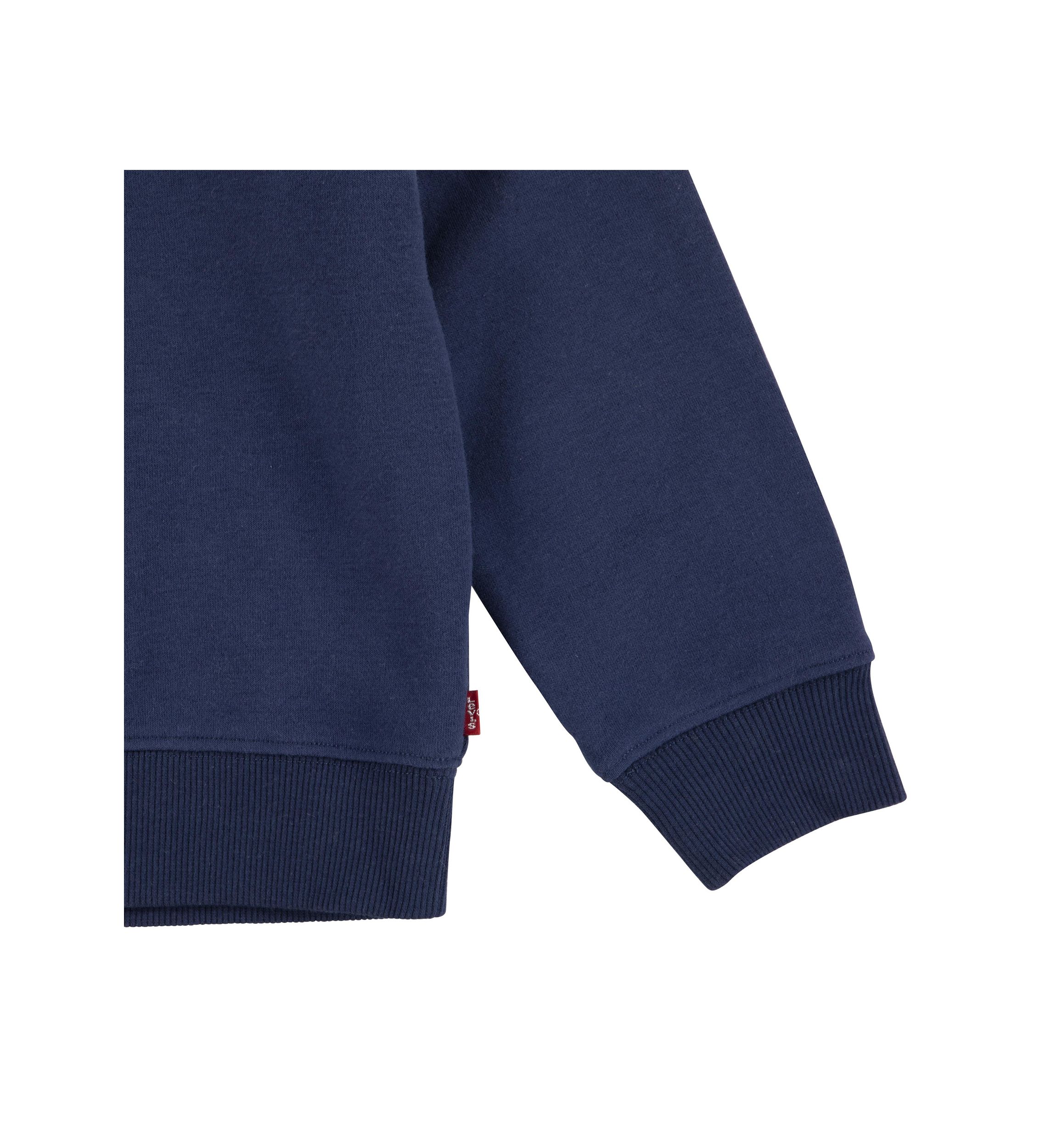 Boys 4-7 Graphic Sweatshirt and Joggers Set