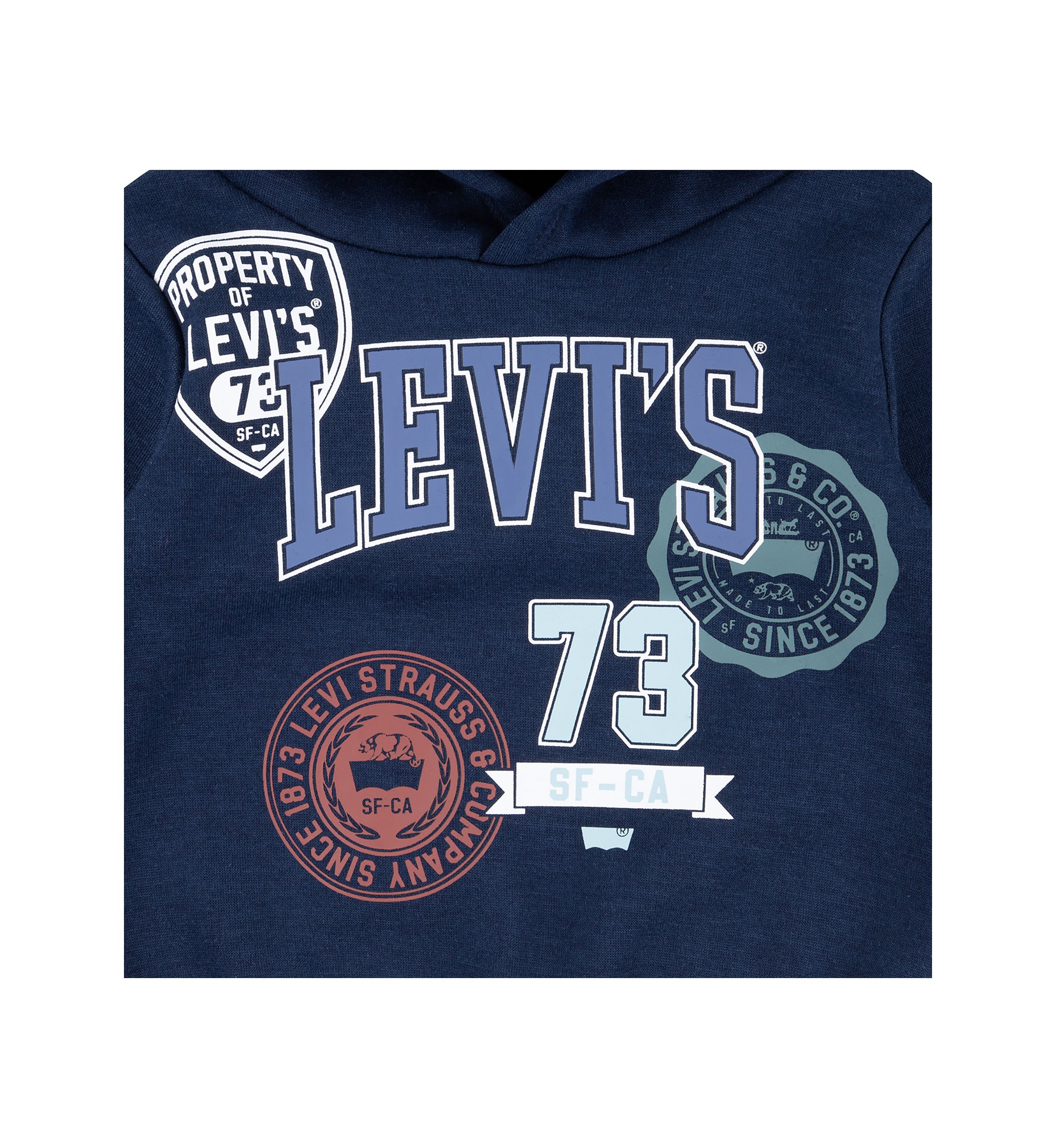 Boys 4-7 Graphic Hoodie and Joggers Set