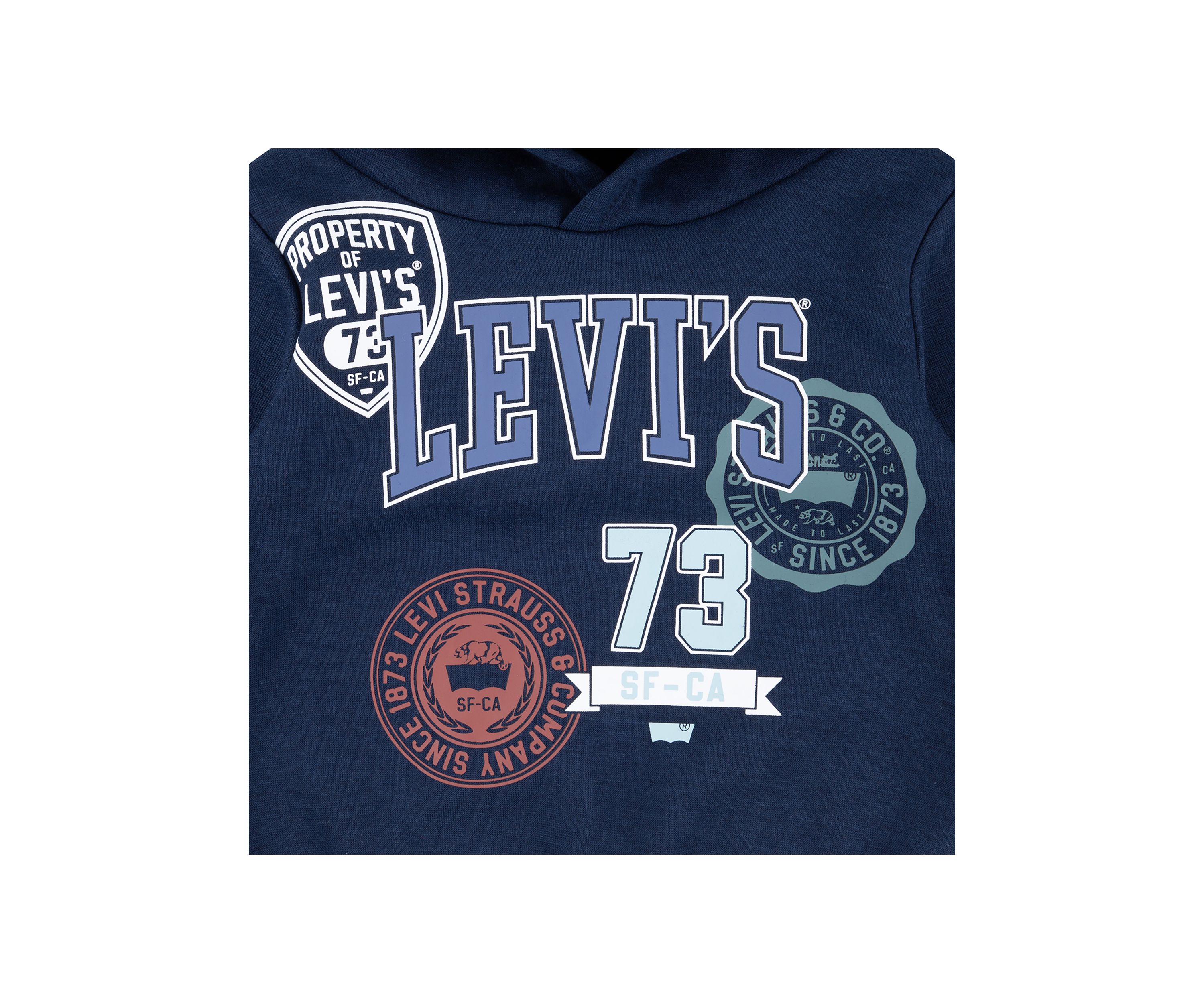 Boys 4-7 Graphic Hoodie and Joggers Set