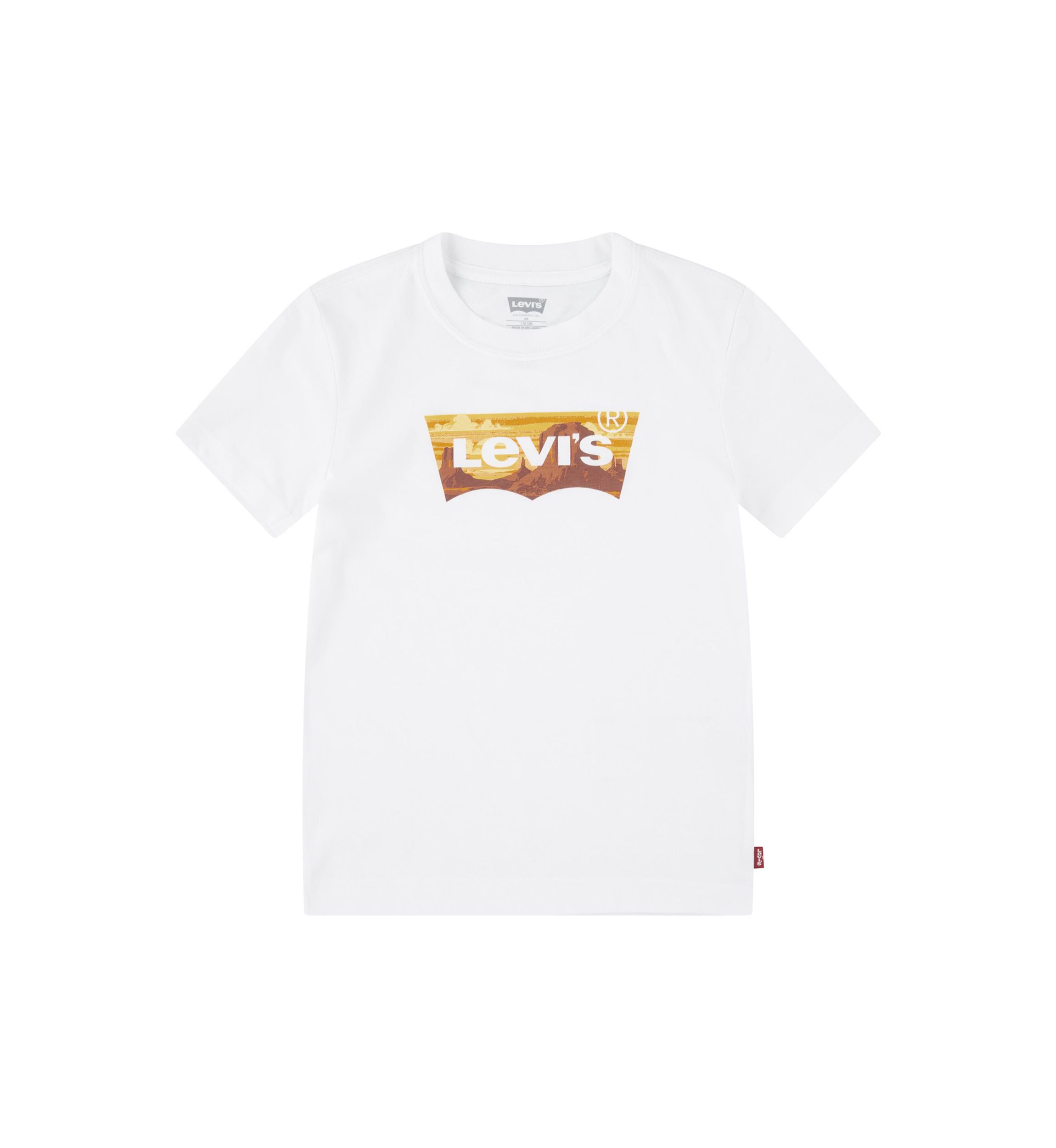 Boys 4-7 Golden Glow Batwing T-Shirt