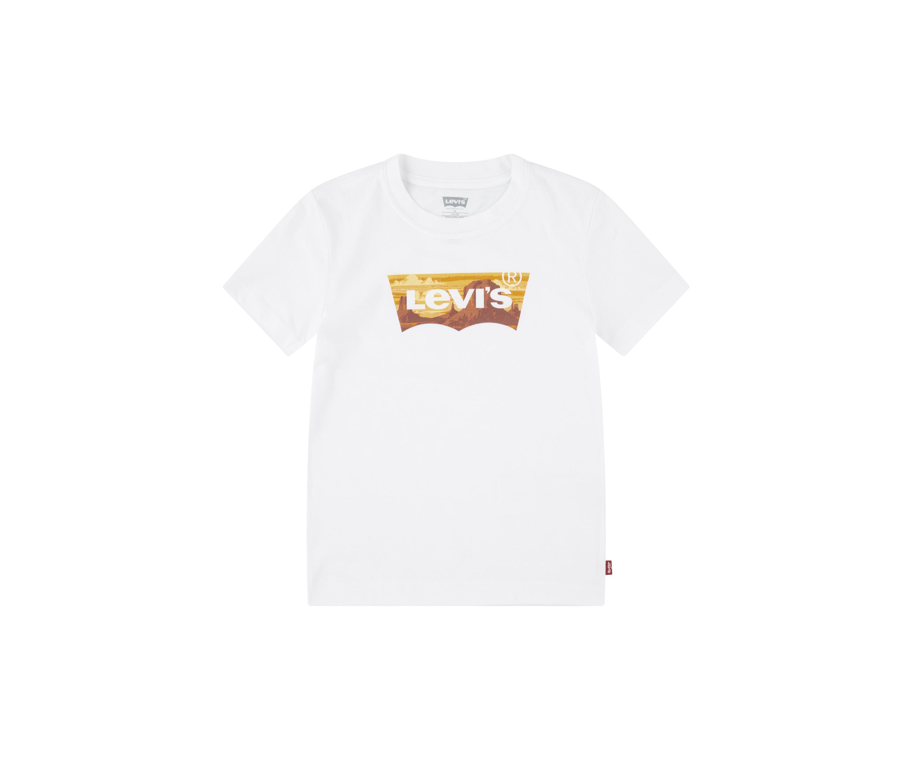 Boys 4-7 Golden Glow Batwing T-Shirt