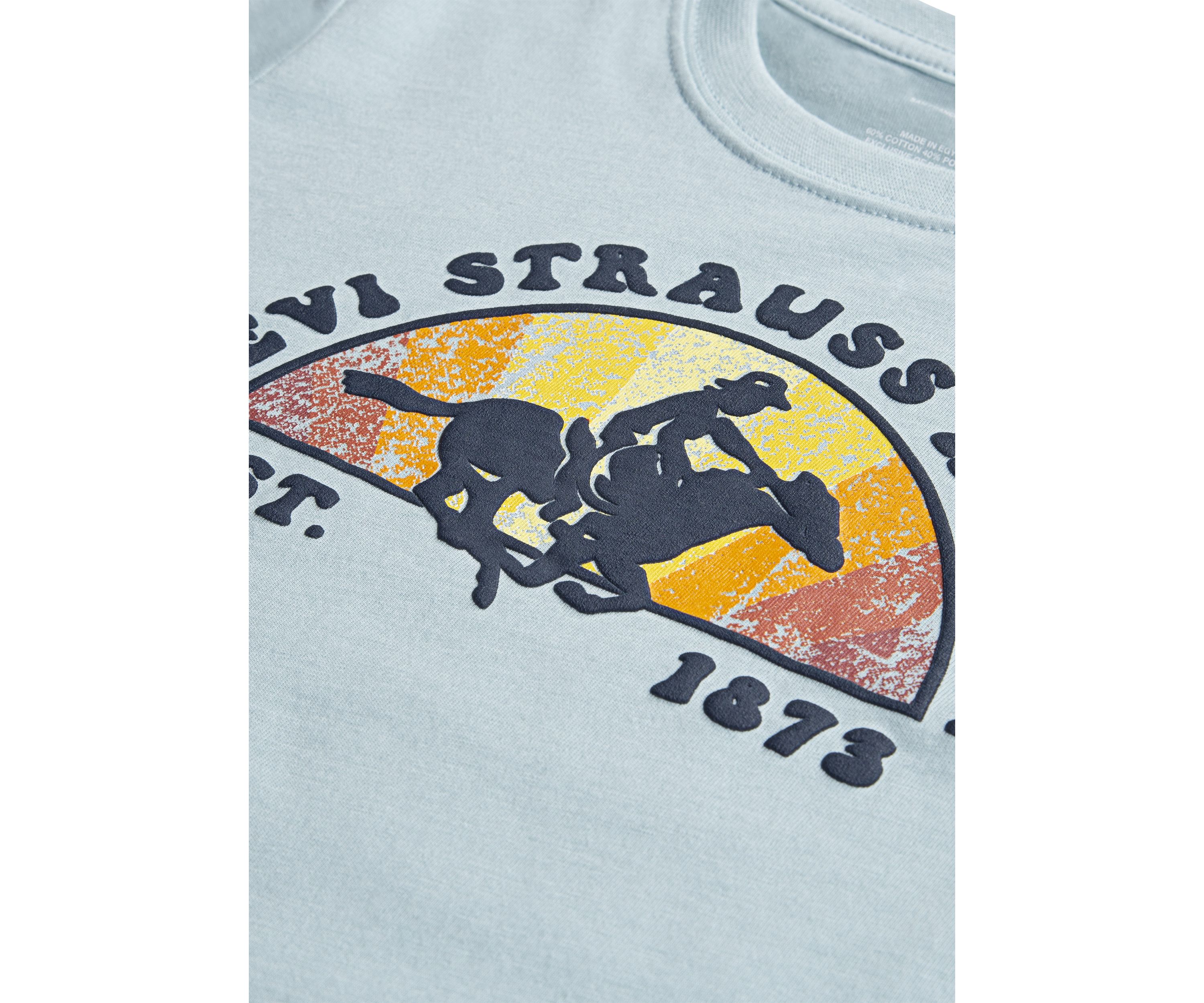 Boys 4-7 Into the Sunset Graphic T-Shirt