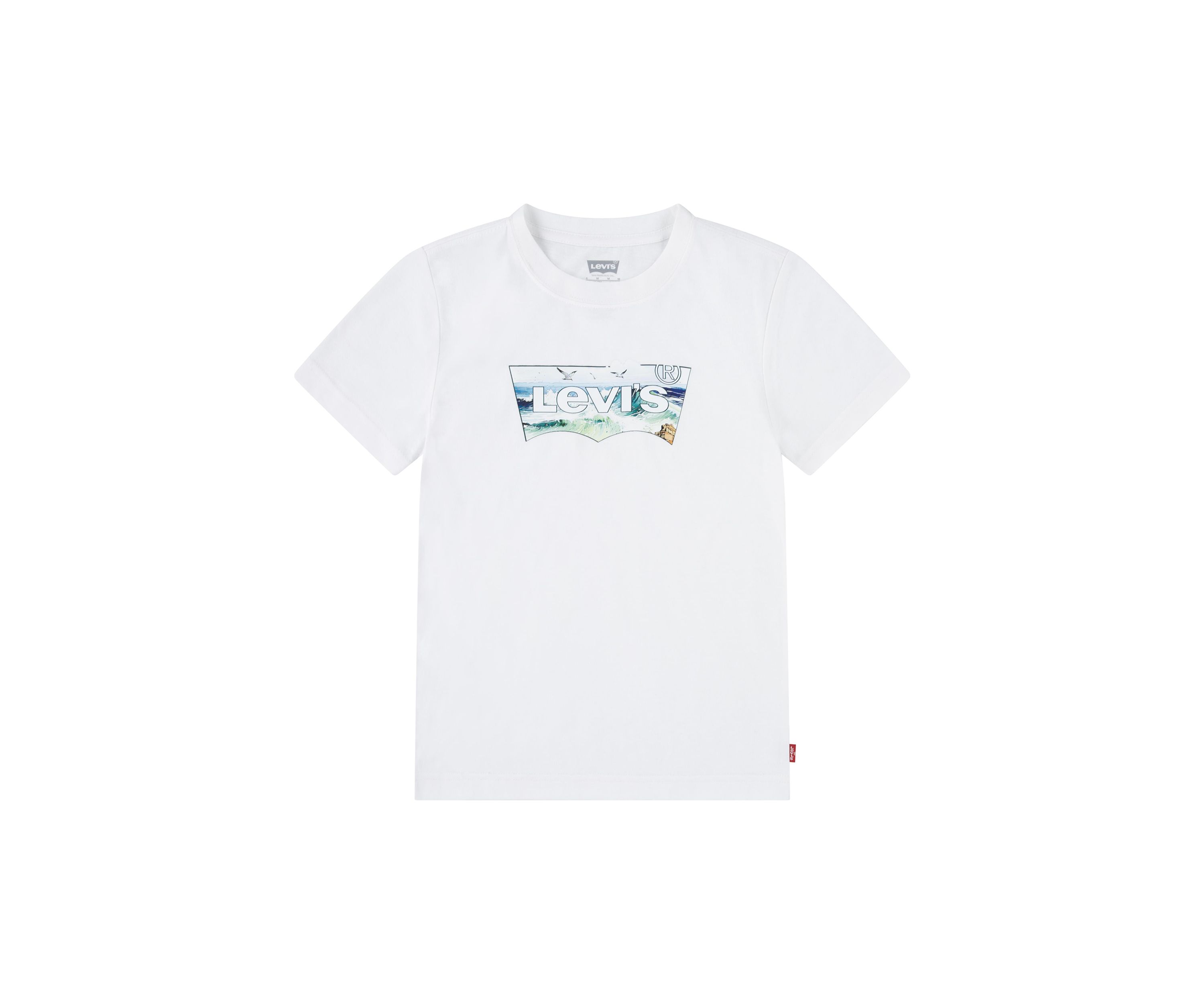 Boys 4-7 Crashing Waves Batwing T-Shirt