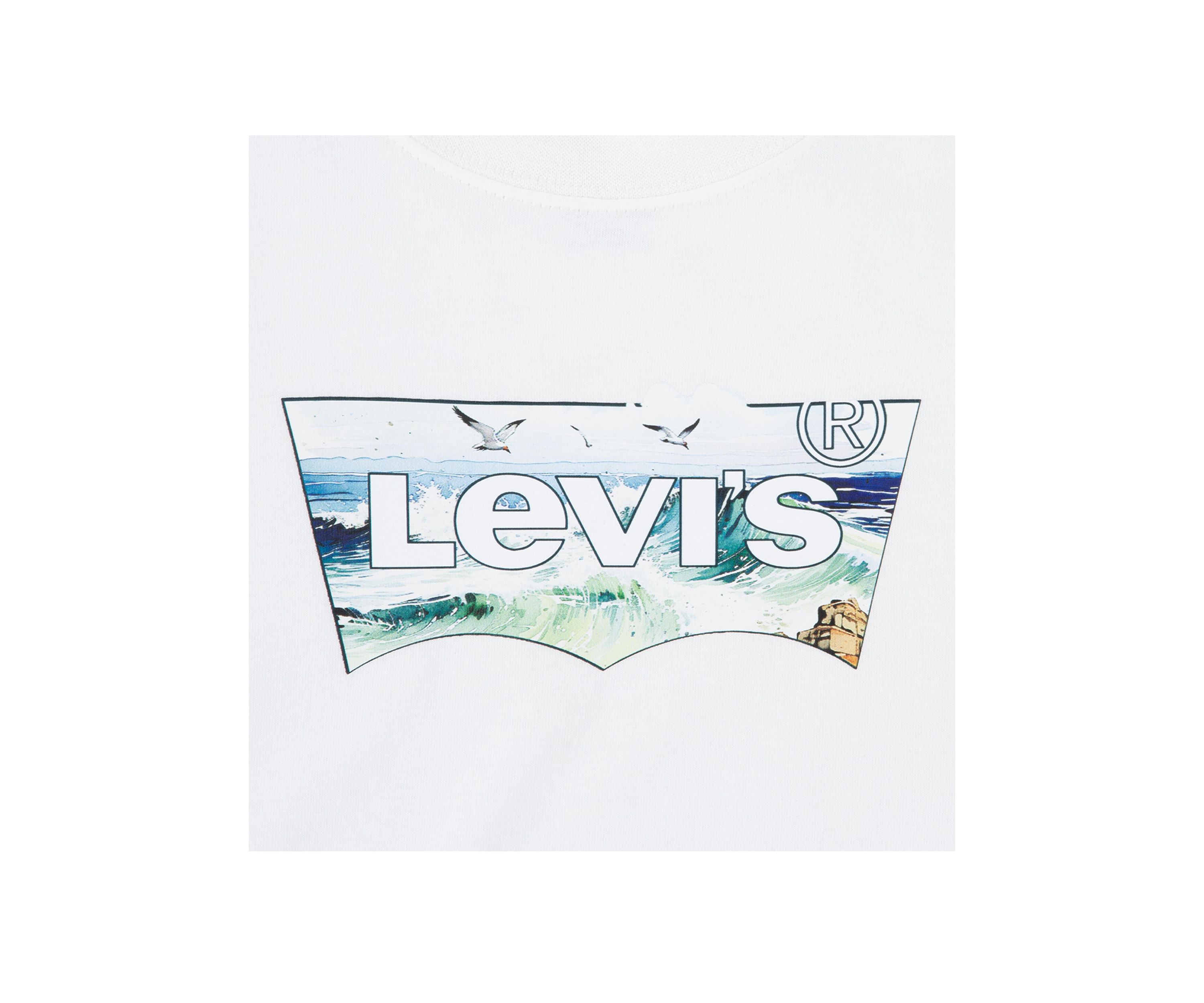 Boys 4-7 Crashing Waves Batwing T-Shirt