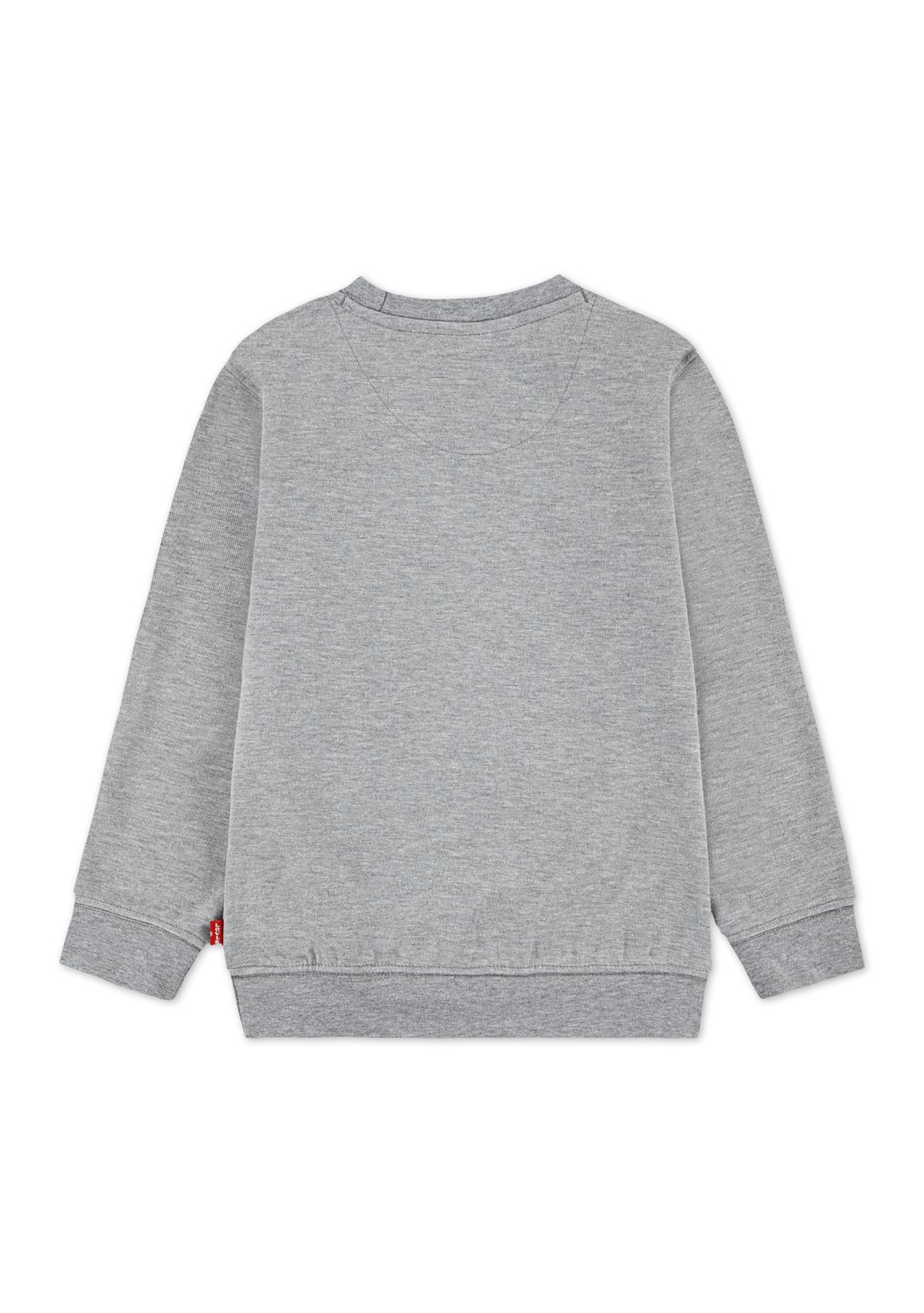 Boys 4-7 Microbrand Crew Neck Sweatshirt