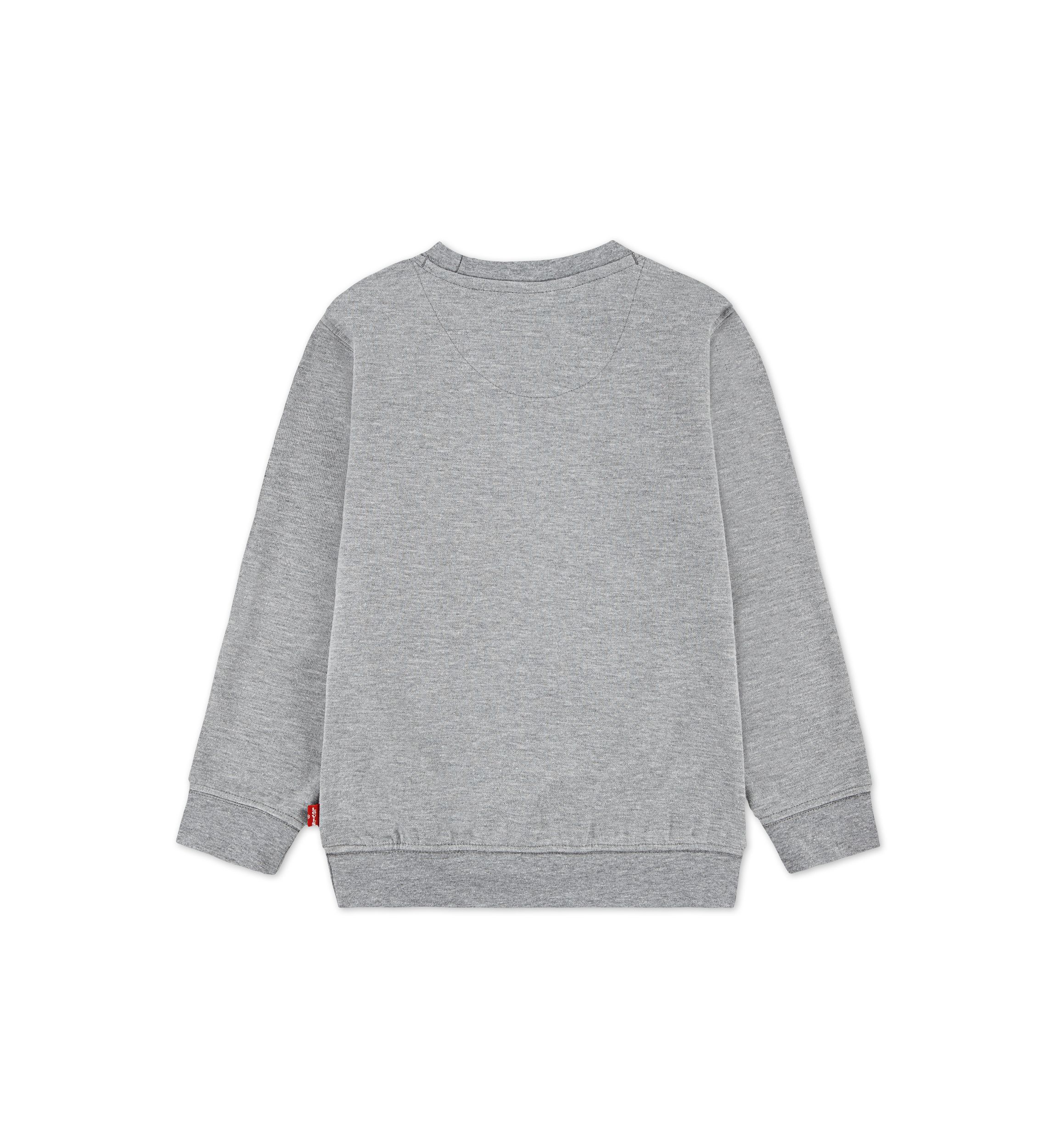 Boys 4-7 Microbrand Crew Neck Sweatshirt