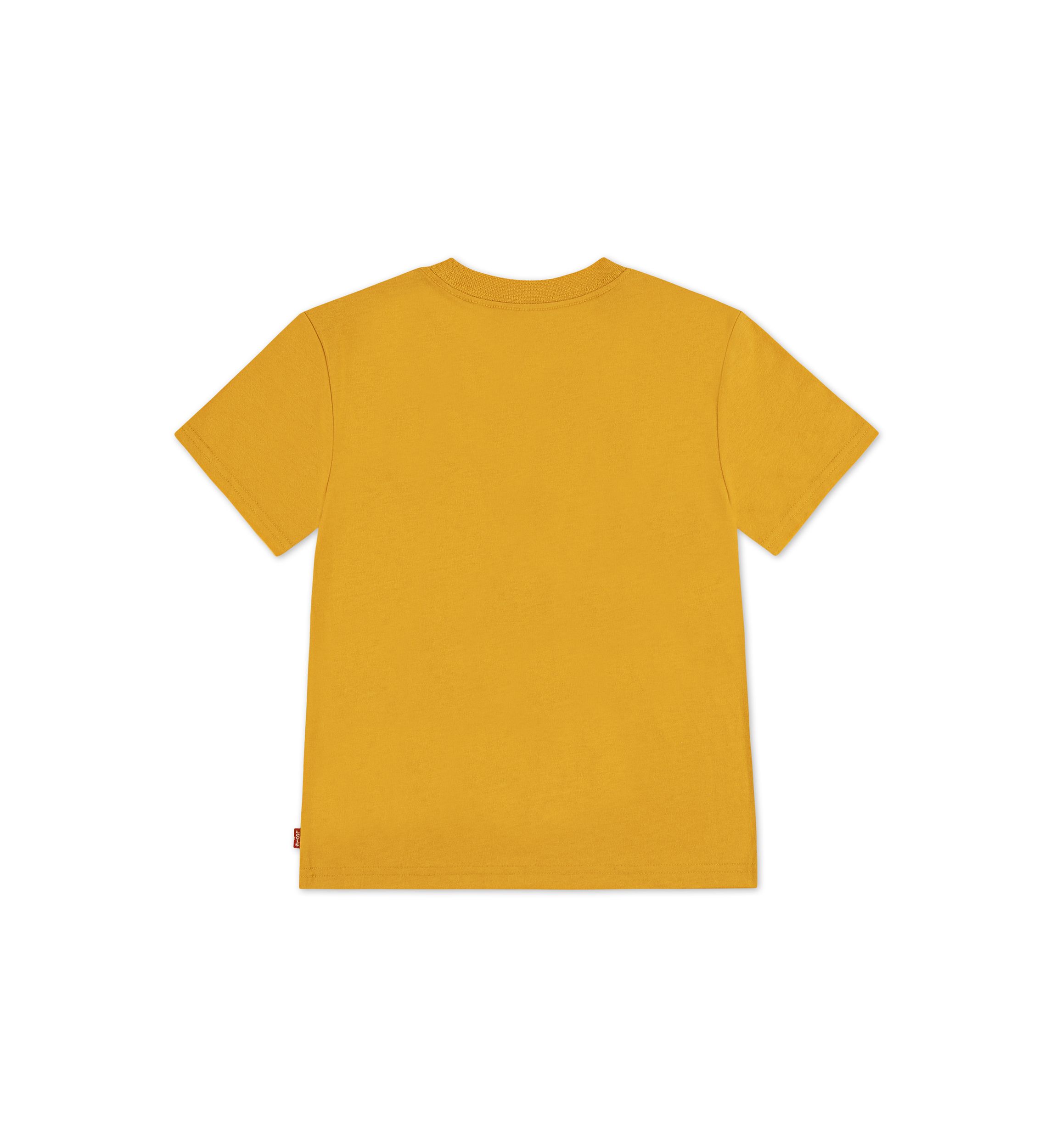 Boys 4-7 Big Rig Short Sleeve Graphic T-Shirt
