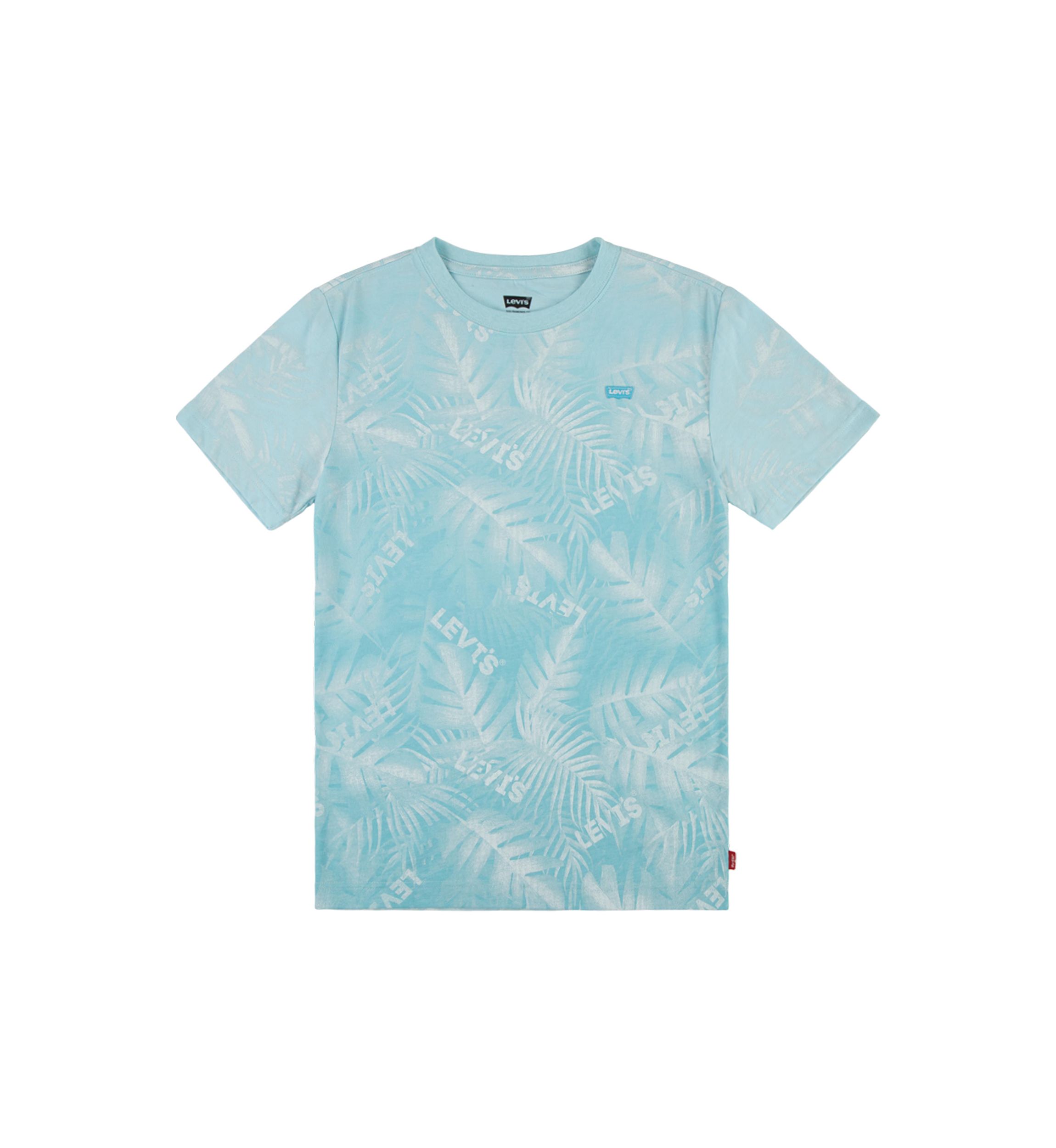 Boys 8-20 Barely There Palm Printed T-Shirt
