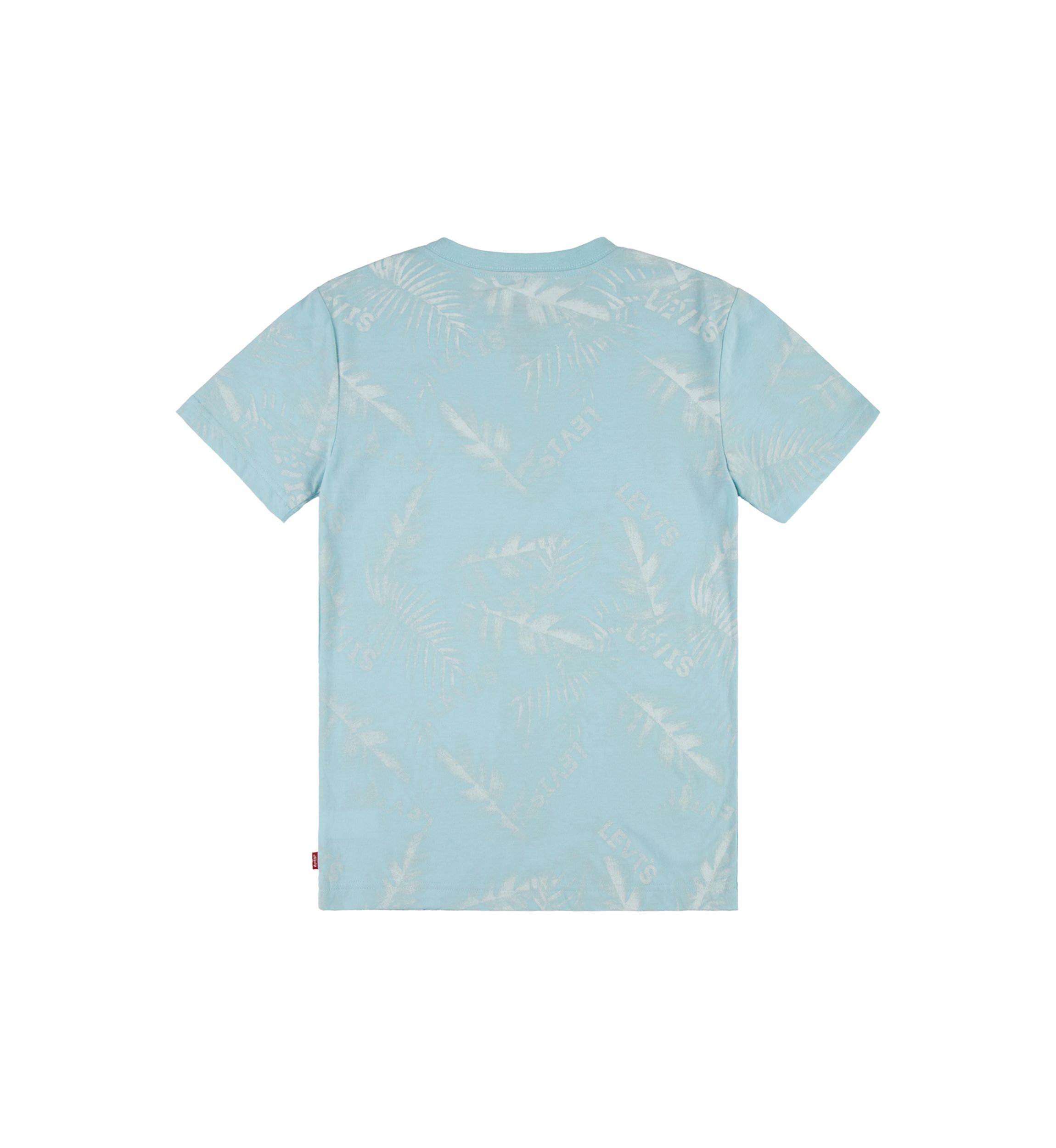 Boys 8-20 Barely There Palm Printed T-Shirt