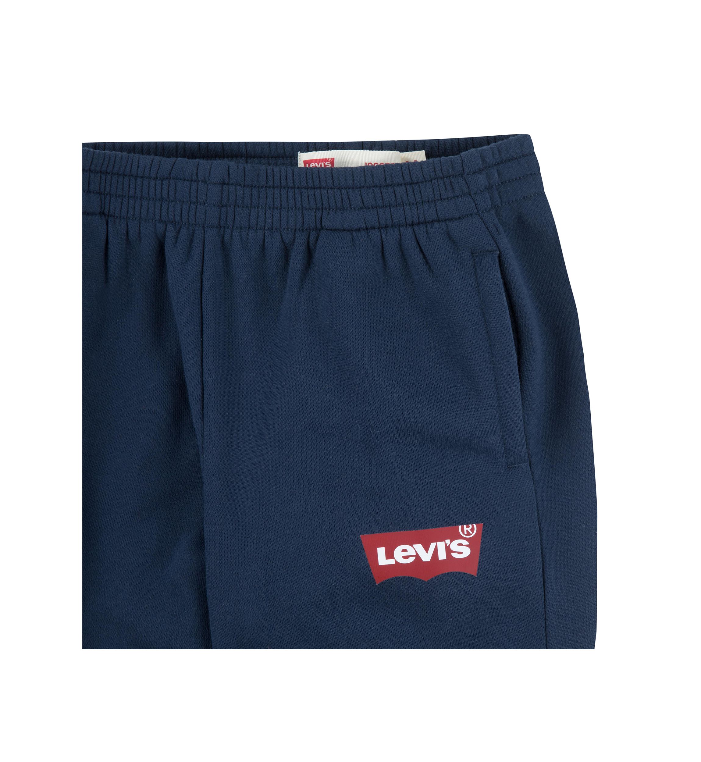 Boys 8-20 Batwing Joggers