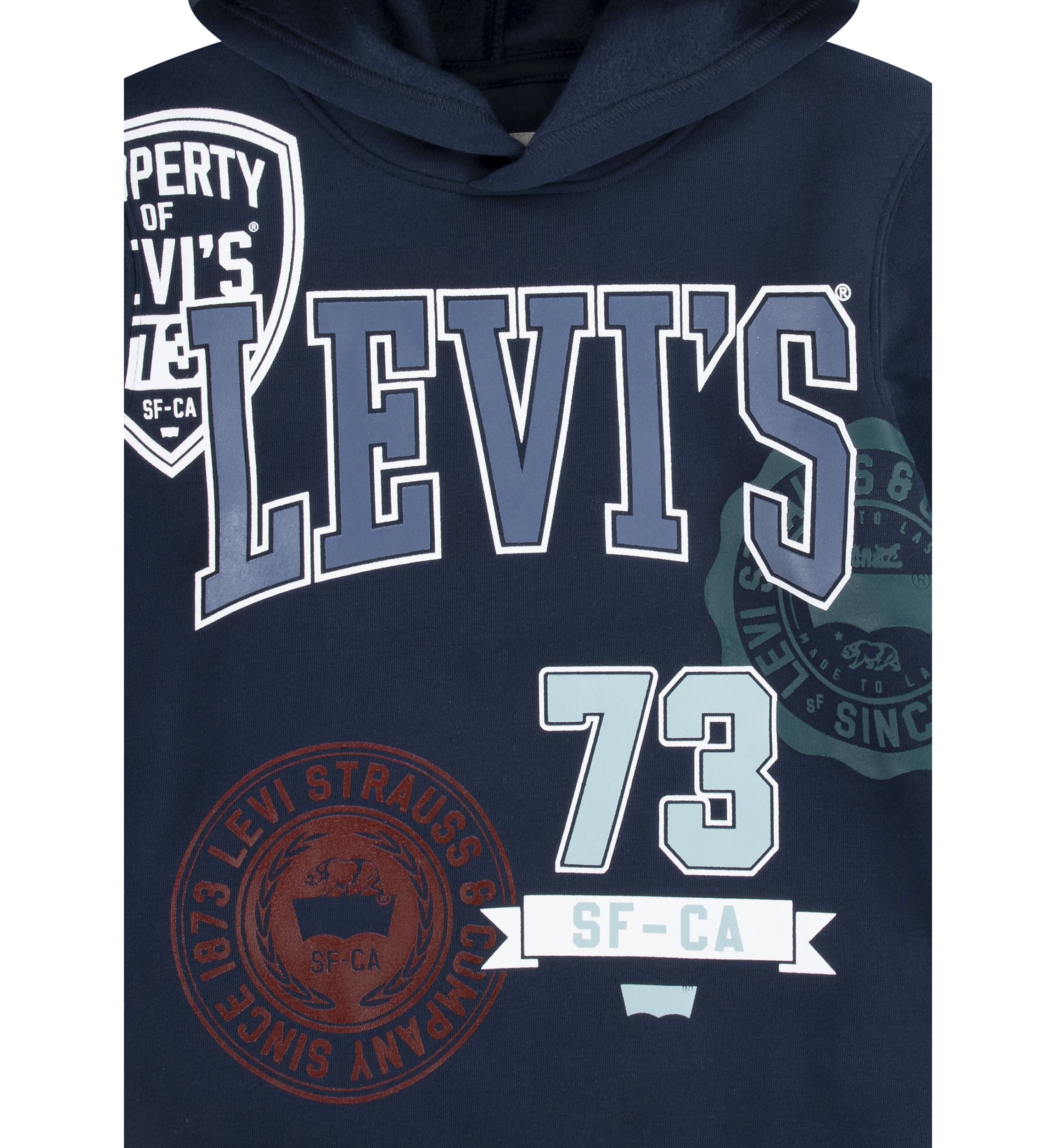Boys 8-20 Prep Crest Hoodie