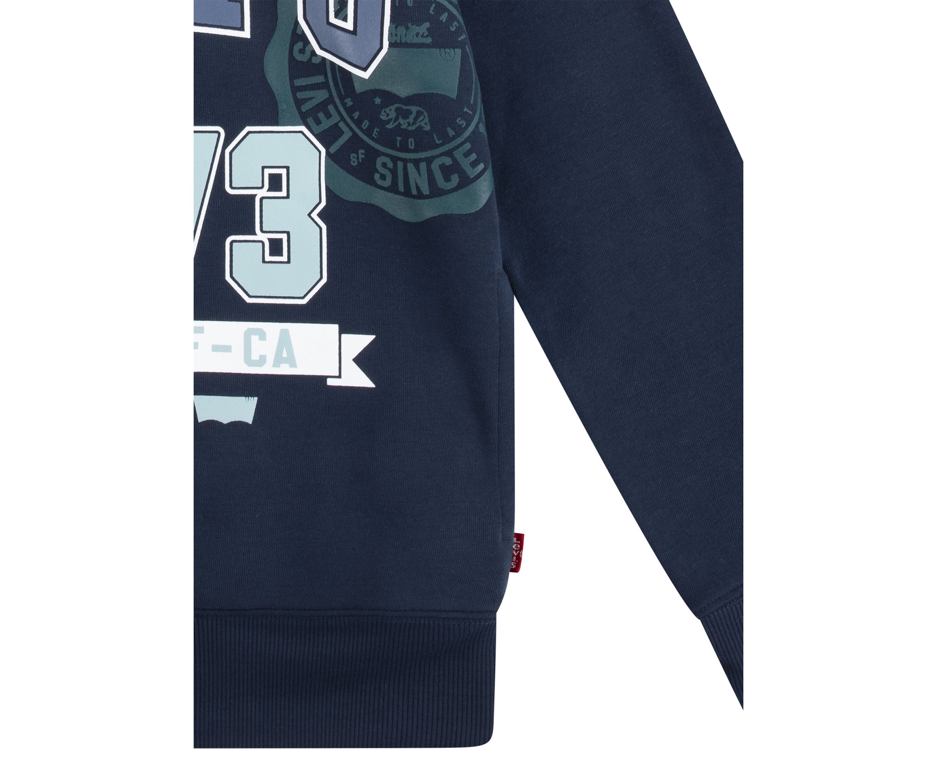 Boys 8-20 Prep Crest Hoodie