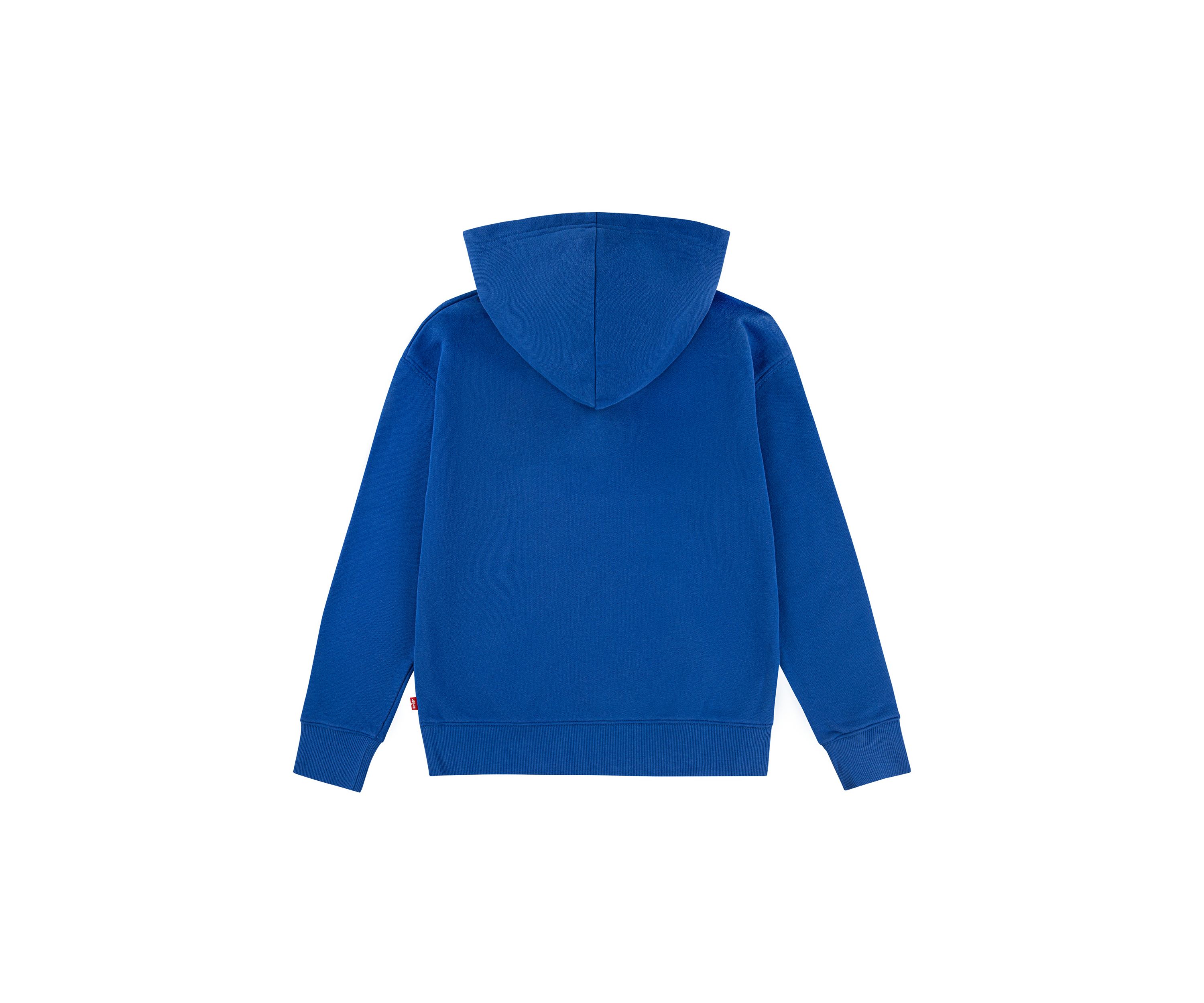 Boys 8-20 Collegiate Logo Hoodie