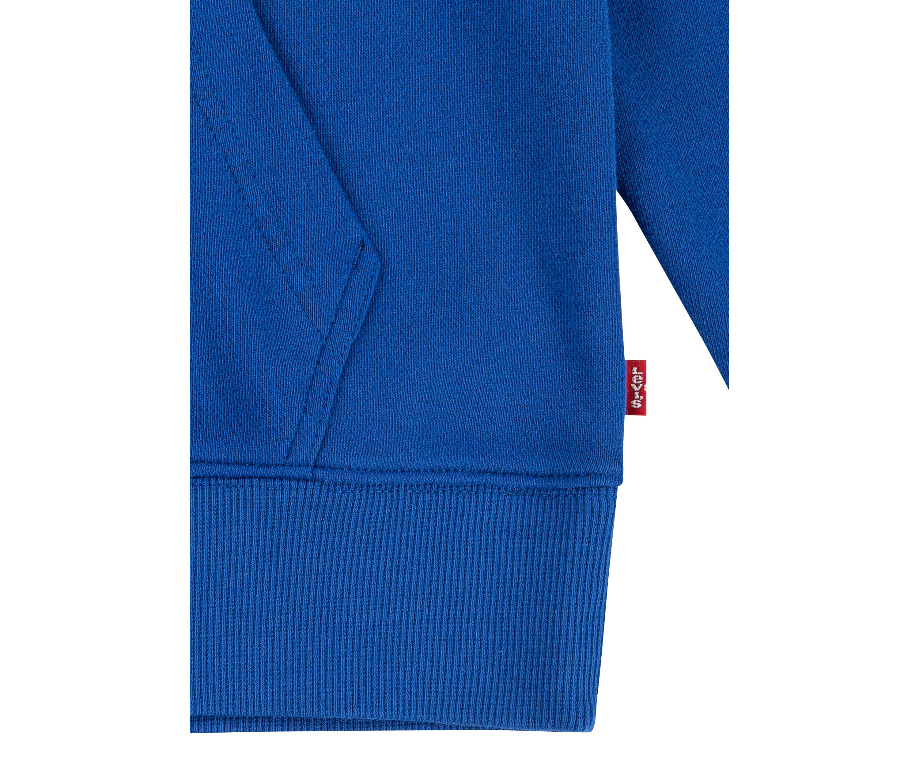Boys 8-20 Collegiate Logo Hoodie