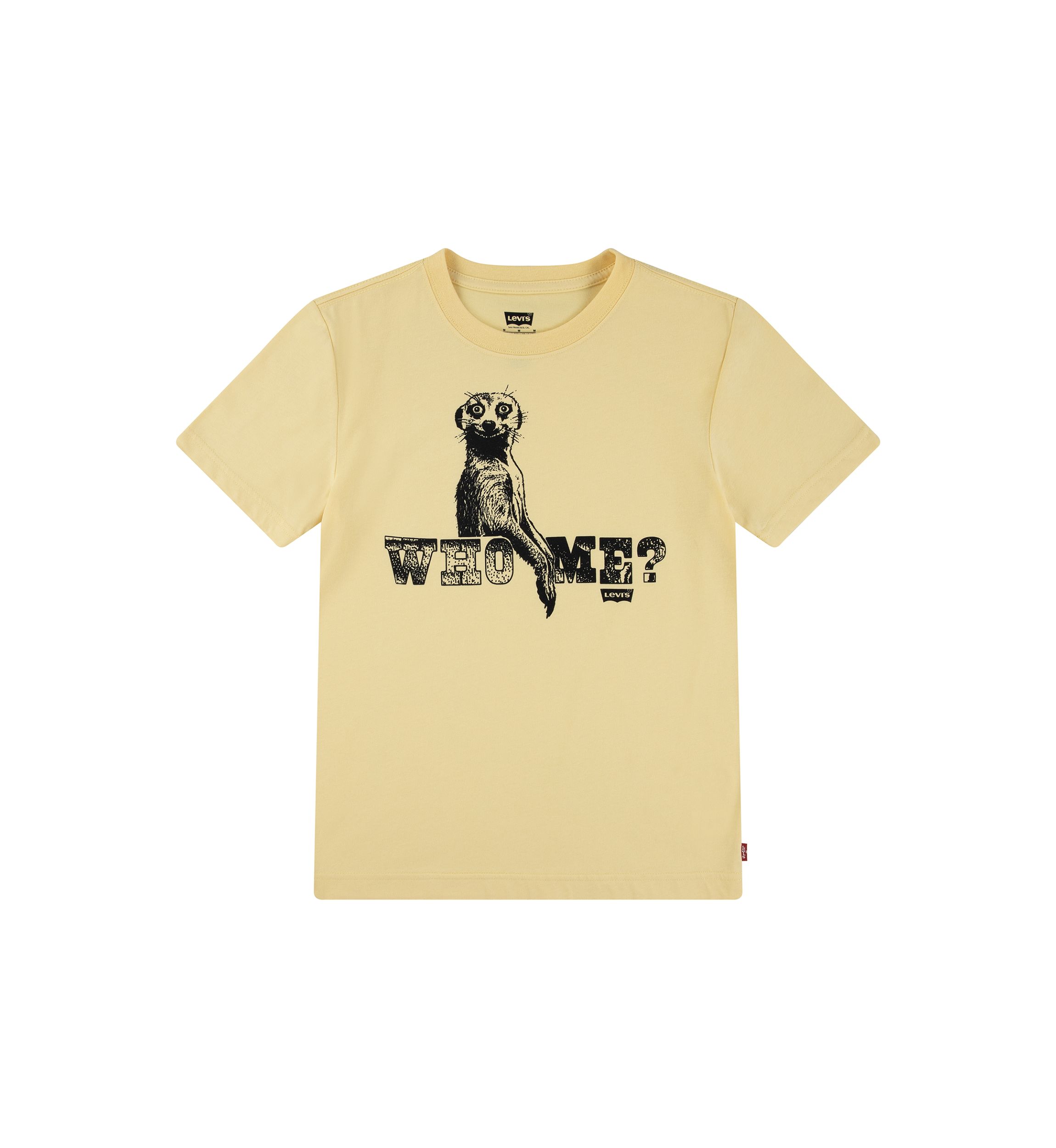 Boys 8-20 Who Me Graphic T-Shirt