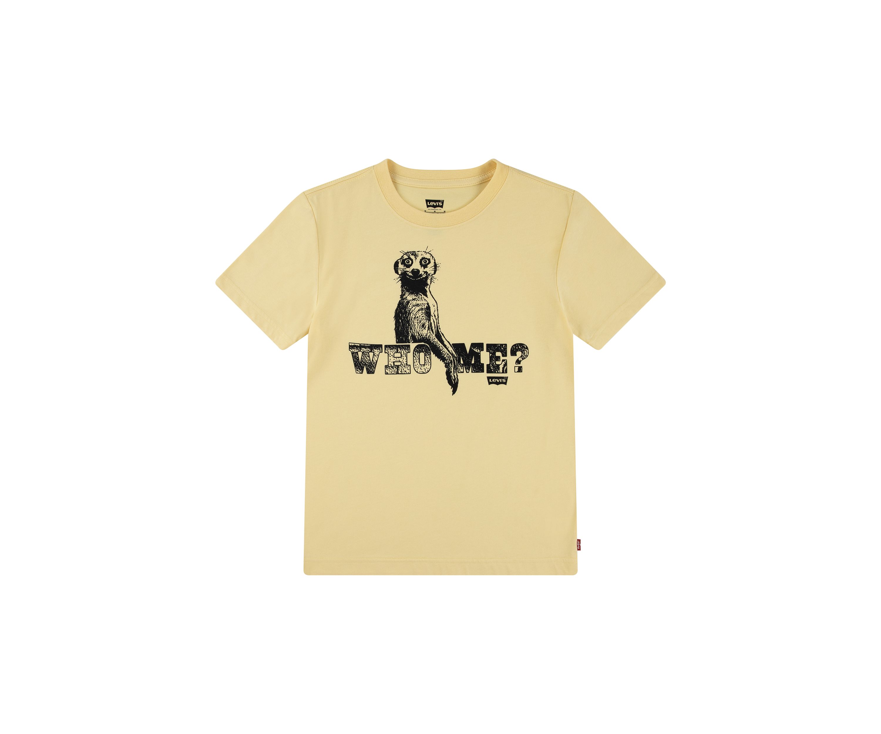 Boys 8-20 Who Me Graphic T-Shirt