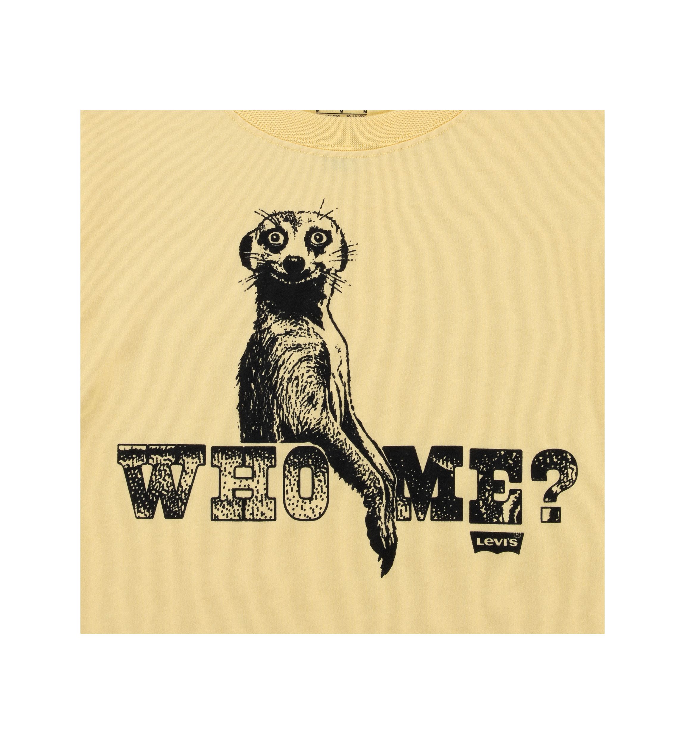 Boys 8-20 Who Me Graphic T-Shirt
