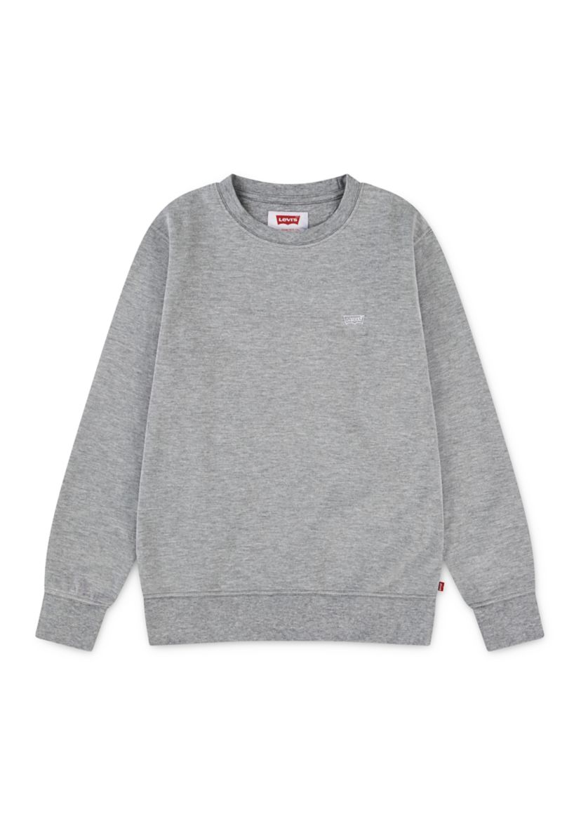 Boys 8-20 Microbrand Crew Neck Sweatshirt