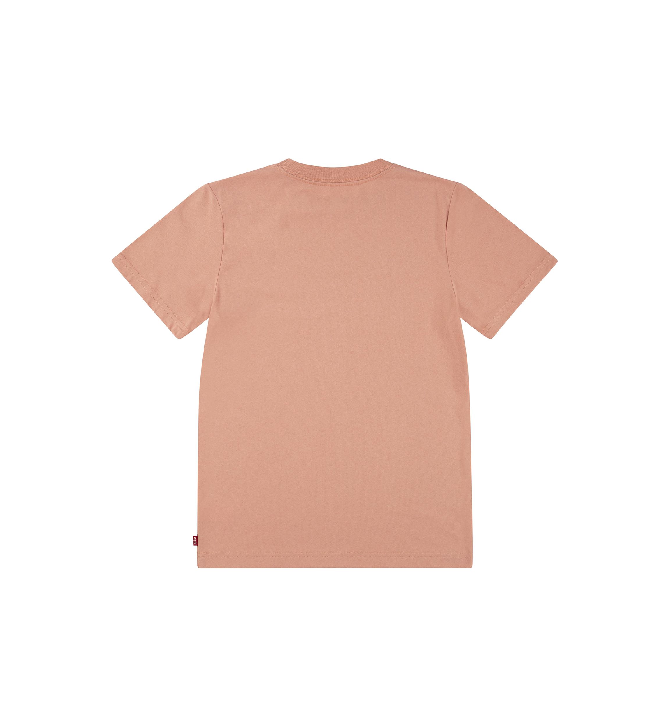 Boys 8-20 Outline Batwing Logo Graphic T-Shirt 