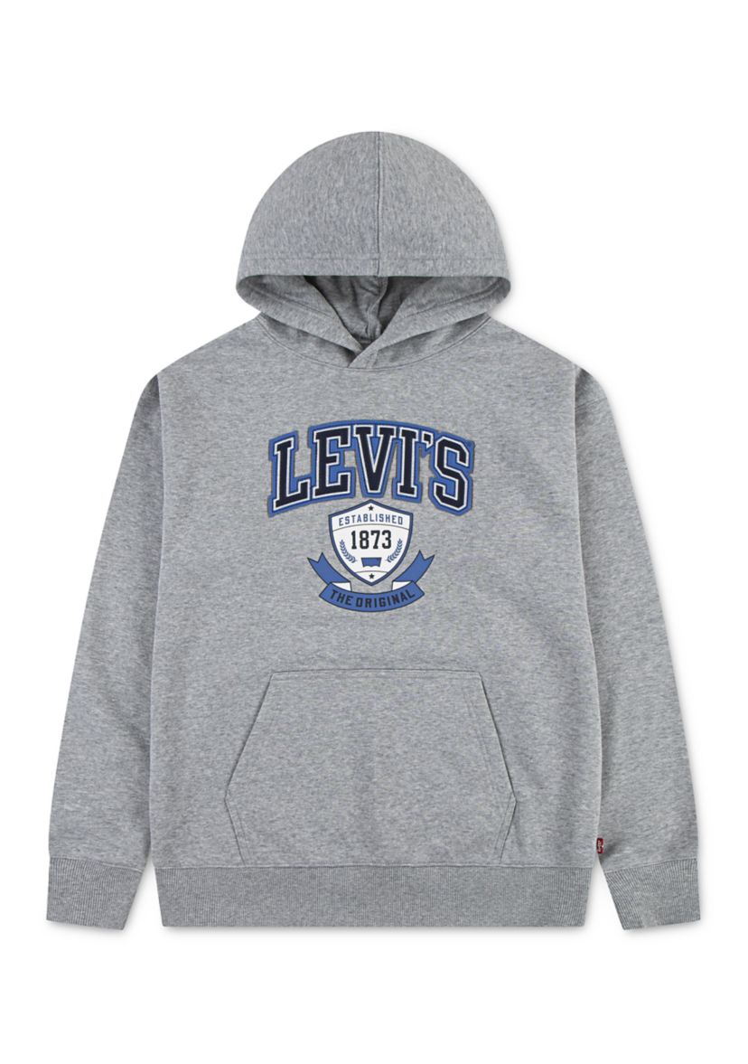 Boys 8-20 Authentic Prep Graphic Hoodie 