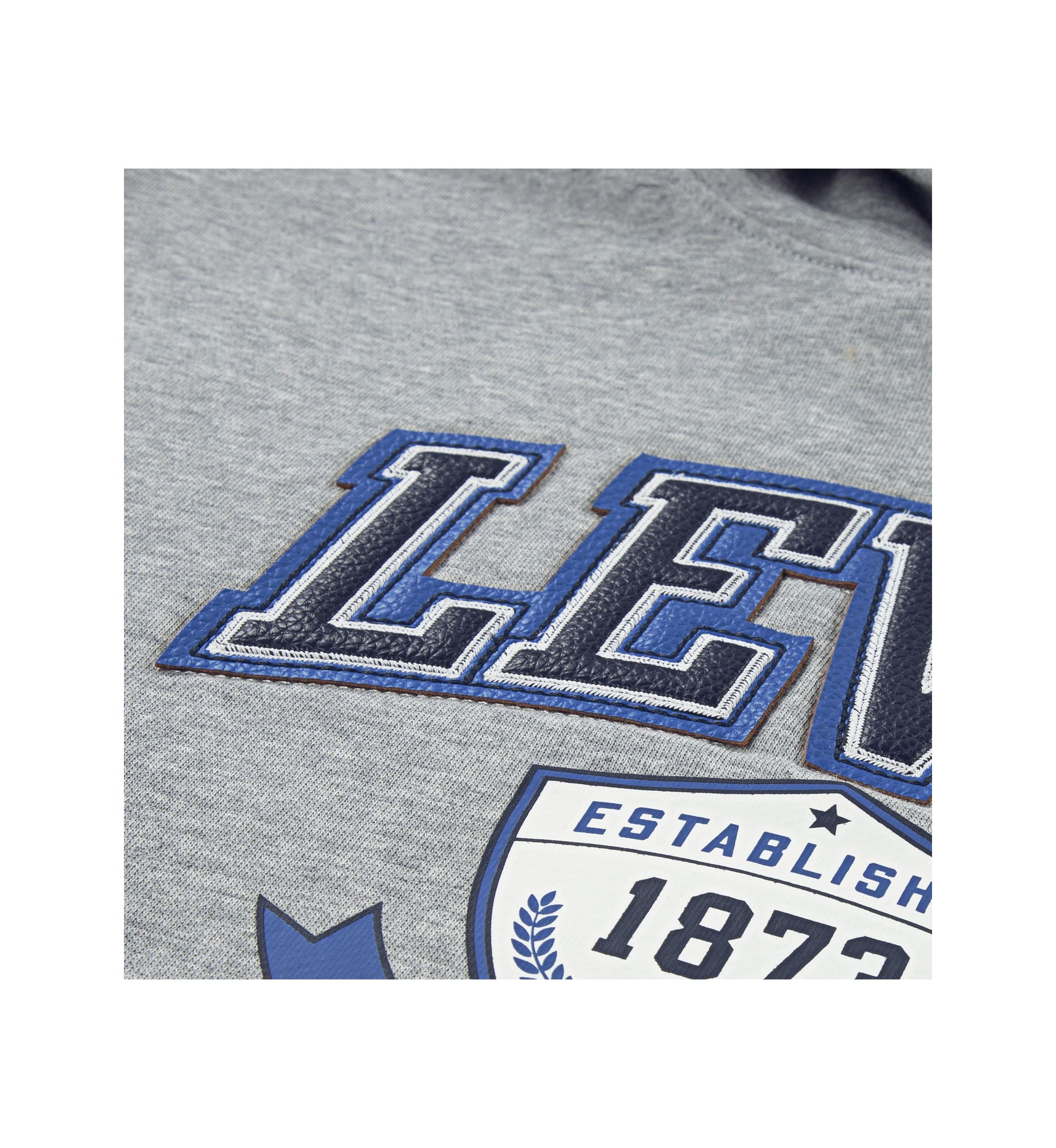 Boys 8-20 Authentic Prep Graphic Hoodie 