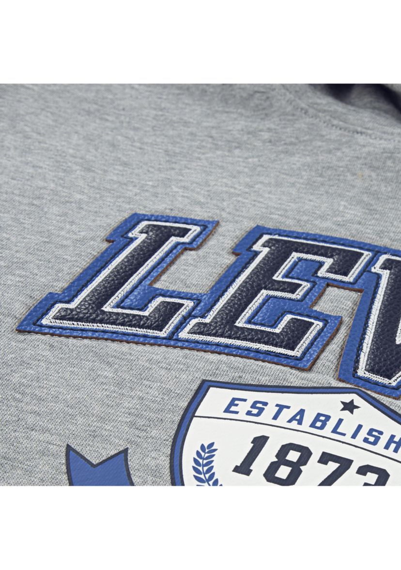 Boys 8-20 Authentic Prep Graphic Hoodie 