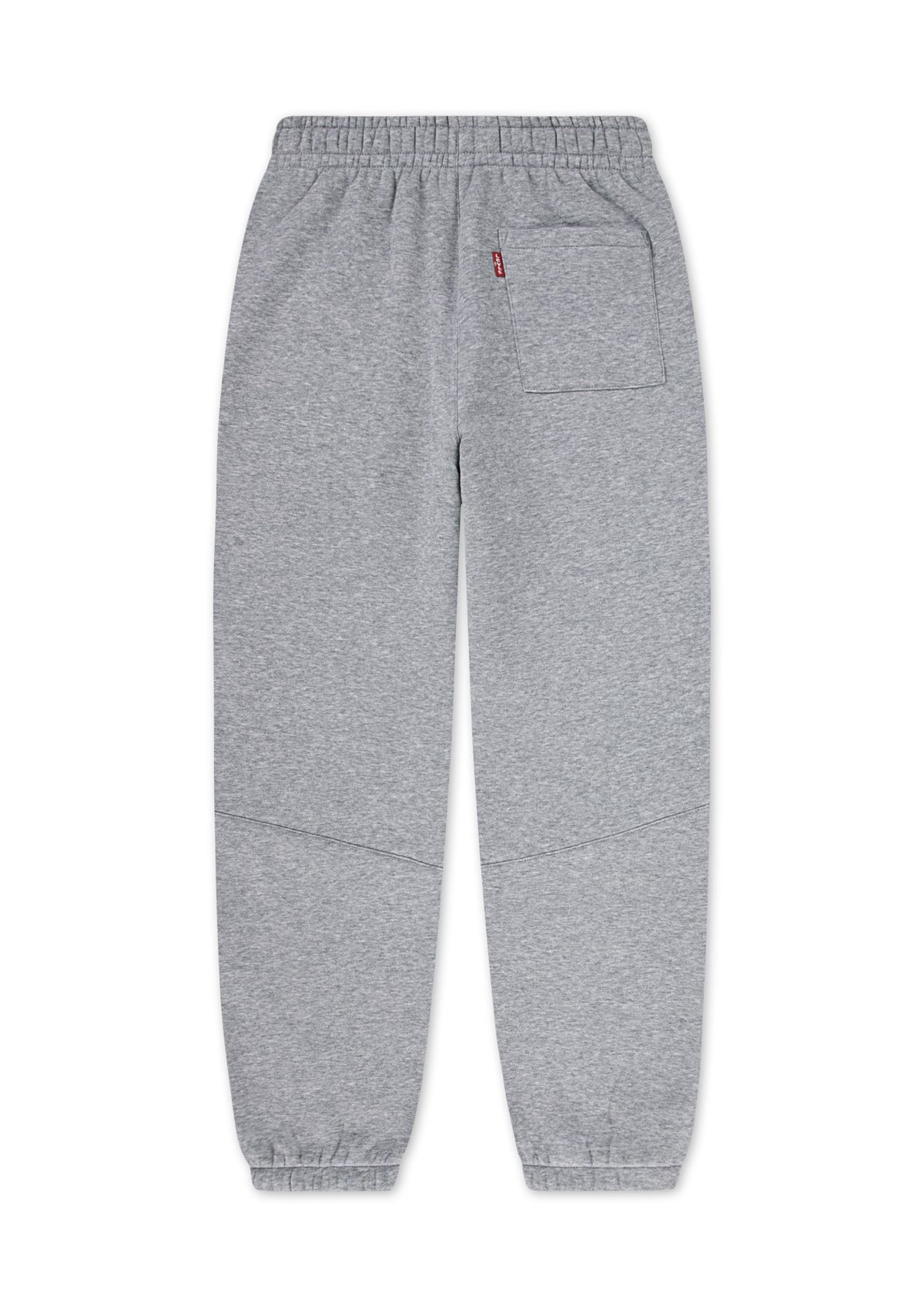 Boys 8-20 3D Levi Joggers
