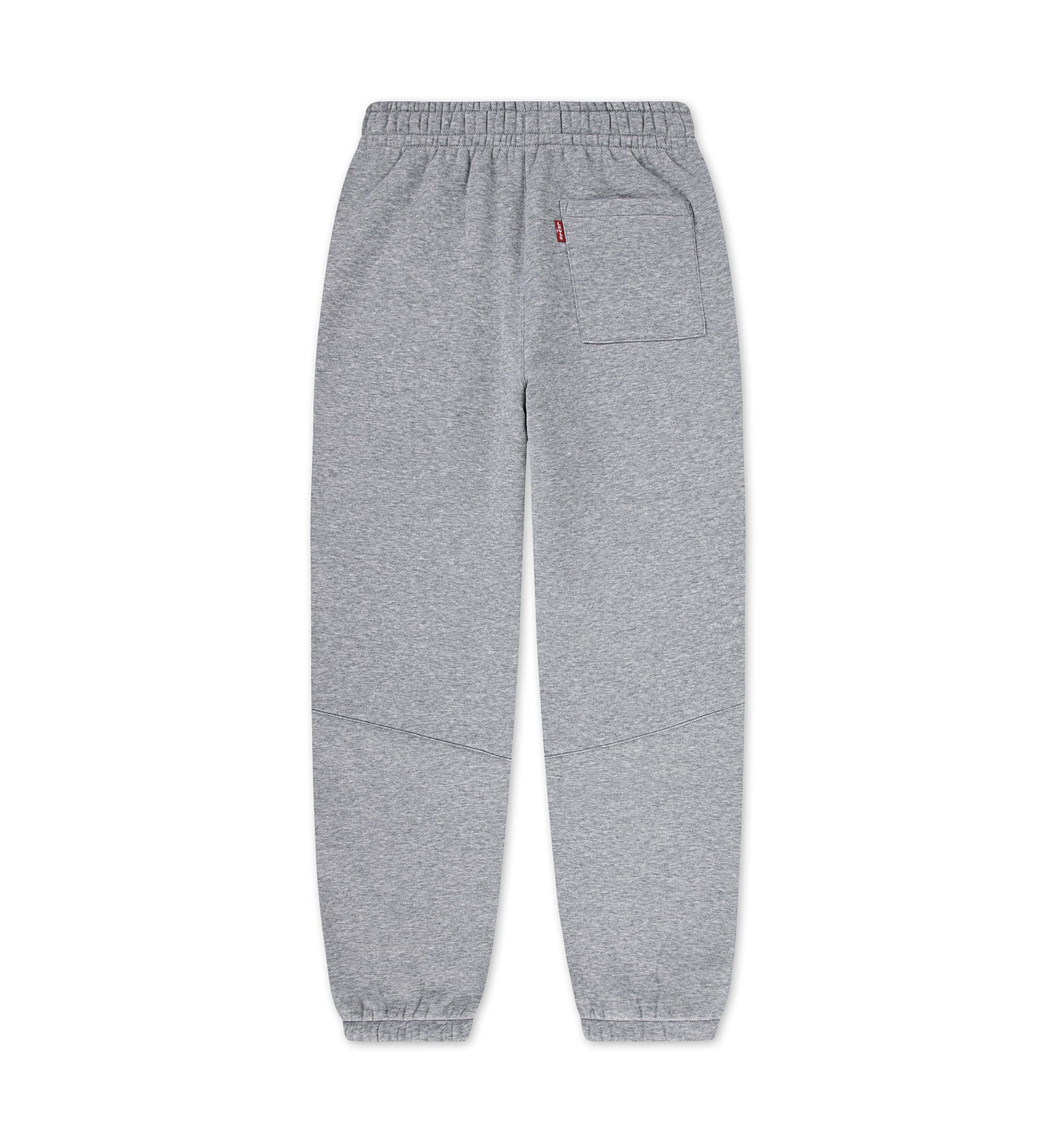 Boys 8-20 3D Levi Joggers