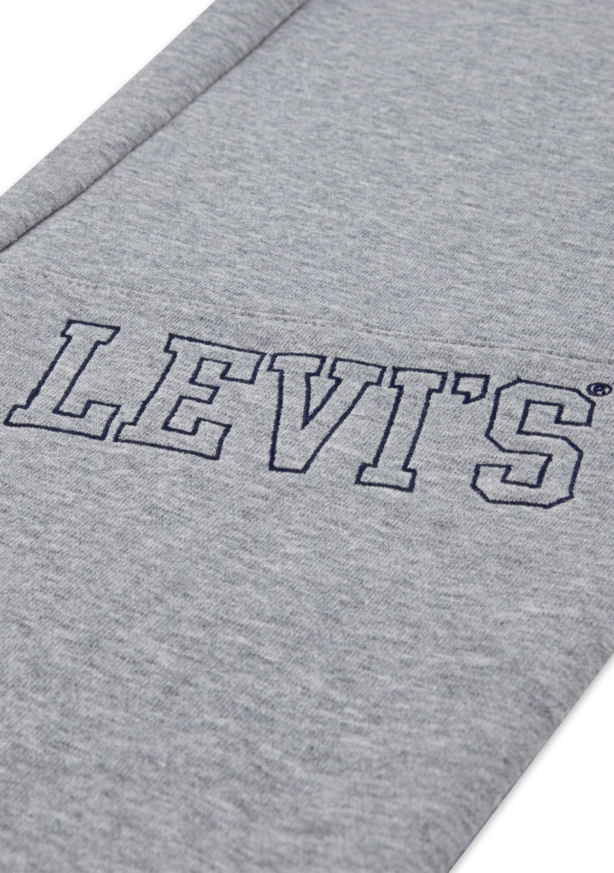 Boys 8-20 3D Levi Joggers