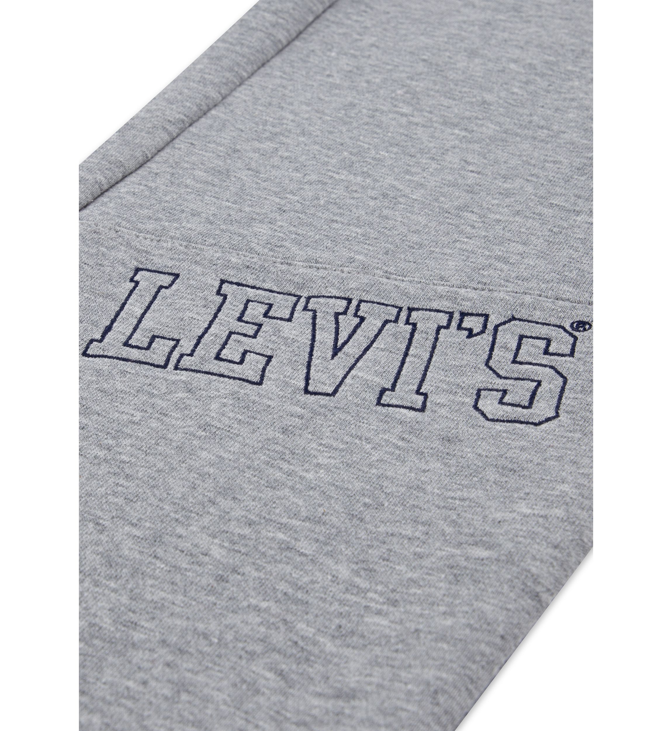 Boys 8-20 3D Levi Joggers