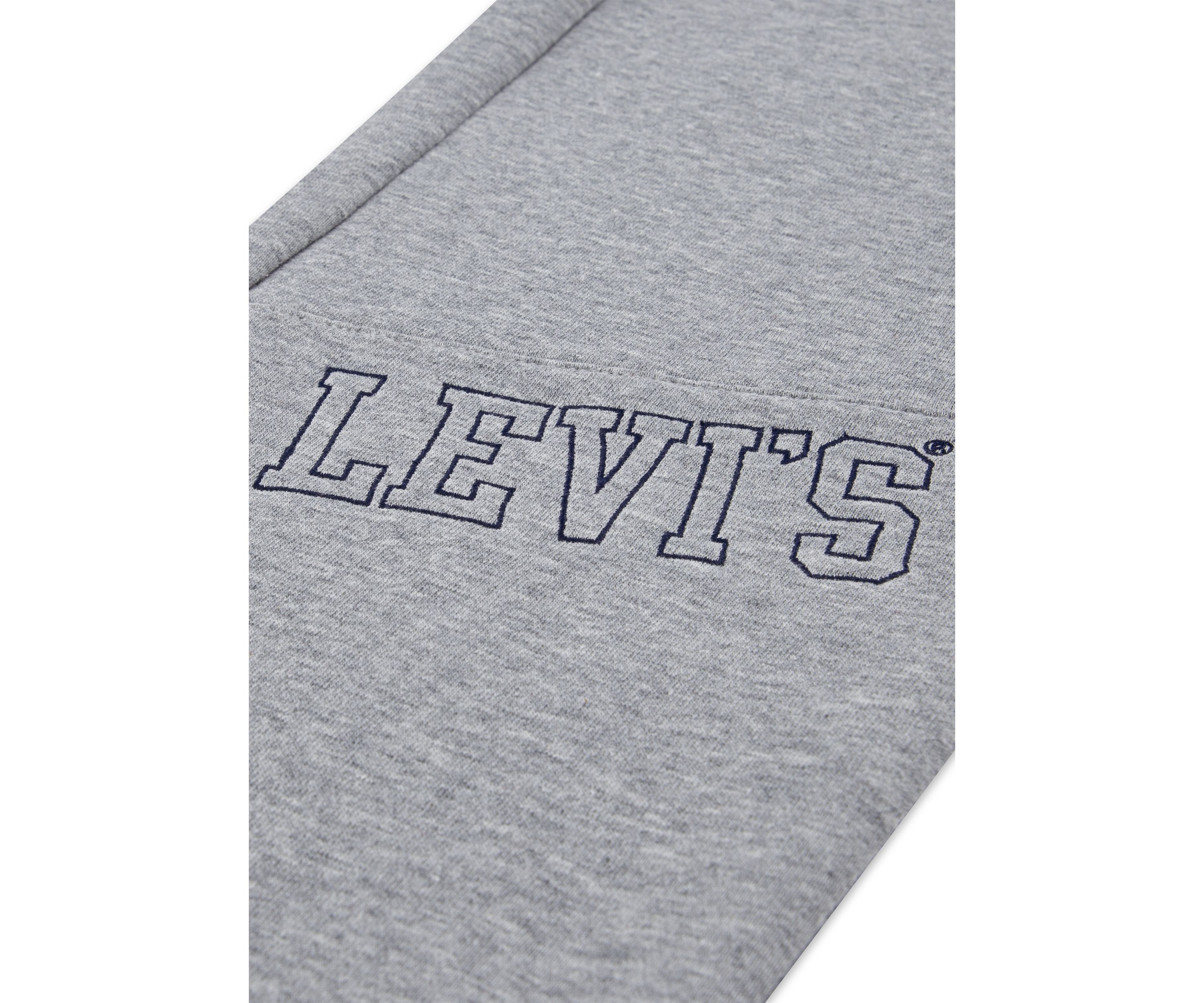 Boys 8-20 3D Levi Joggers