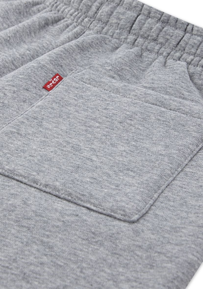 Boys 8-20 3D Levi Joggers