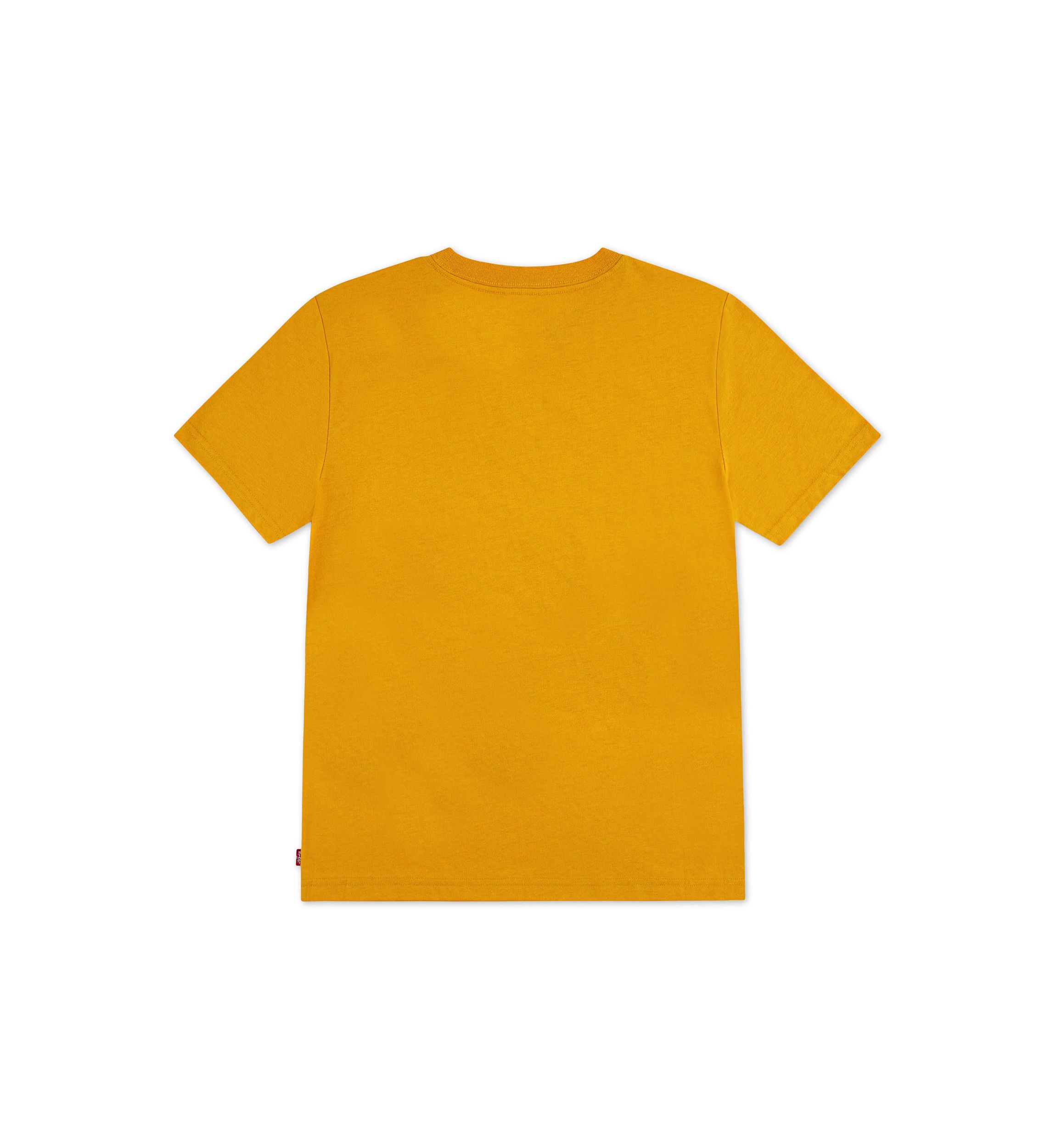 Boys 8-20 Big Rig Short Sleeve Graphic T-Shirt