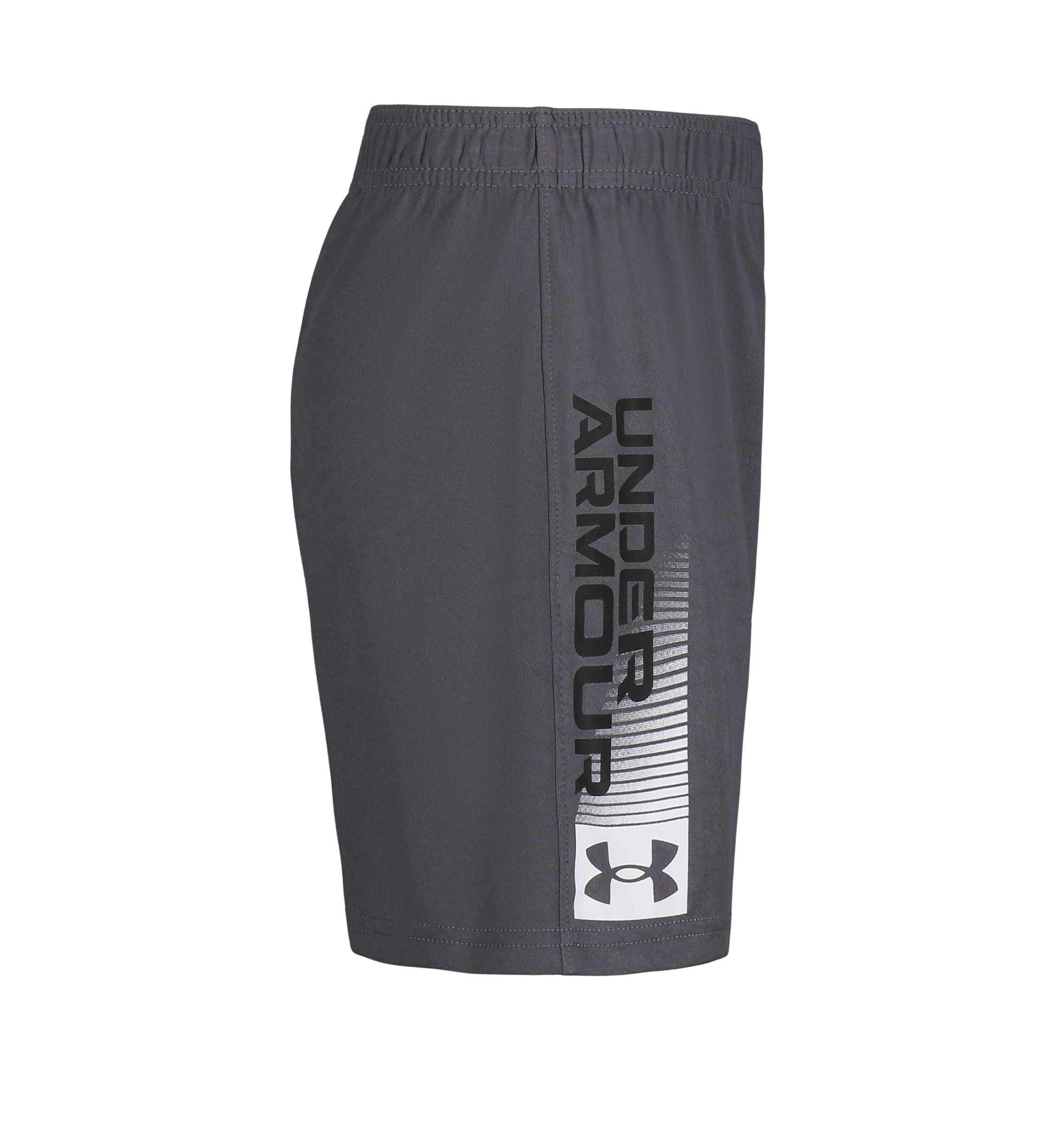 Boys 4-7 Wordmark 3.0 Shorts
