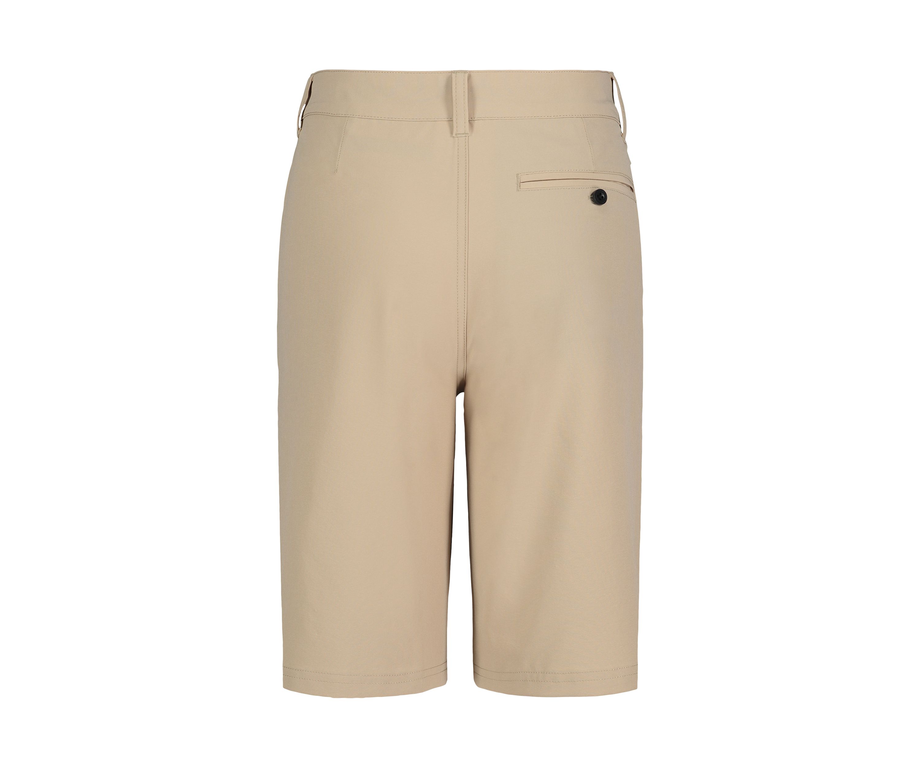 Boys 8-20 Standard Shorts