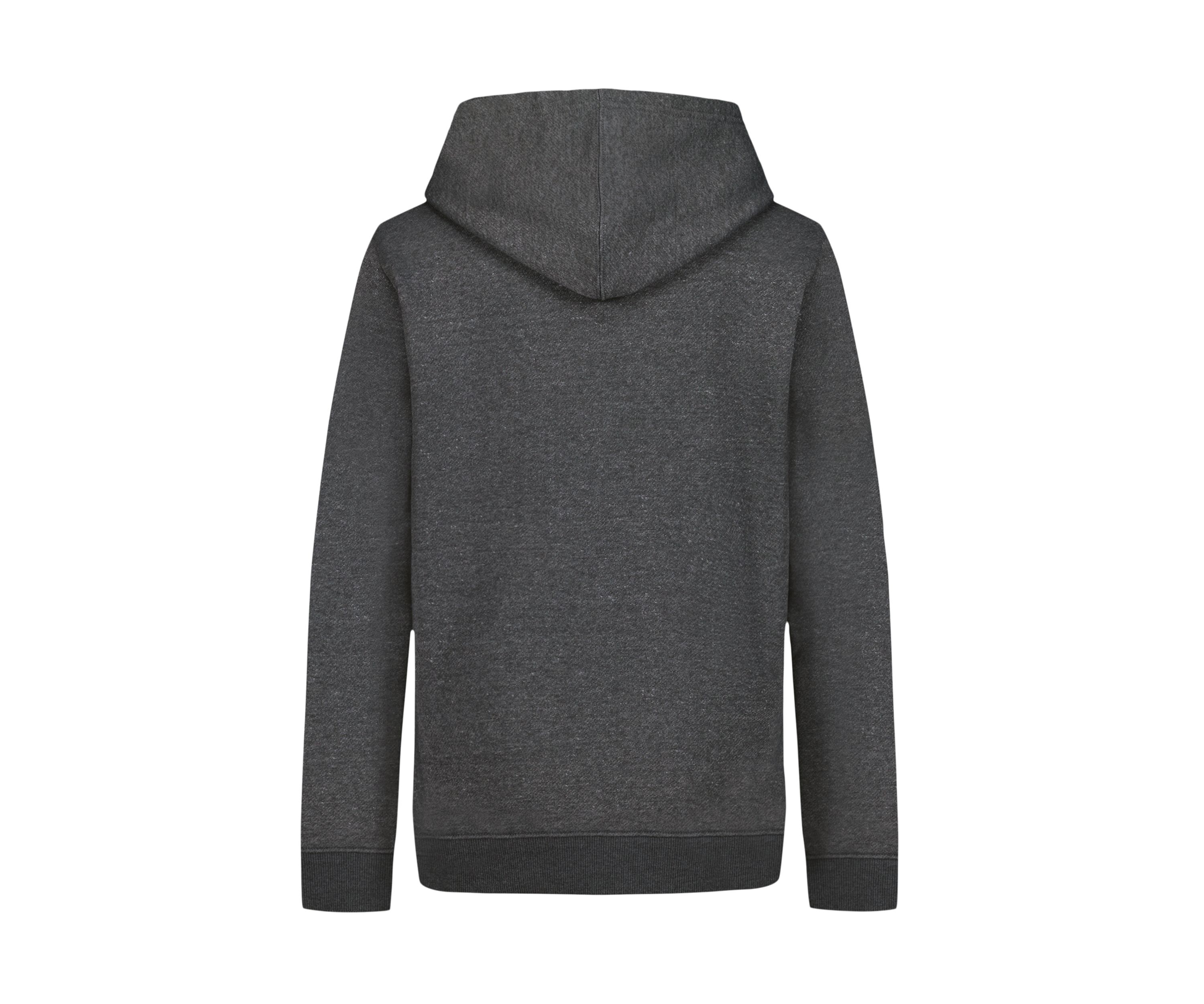 Boys 8-20 Frogskin Logo Graphic Fleece Hoodie 