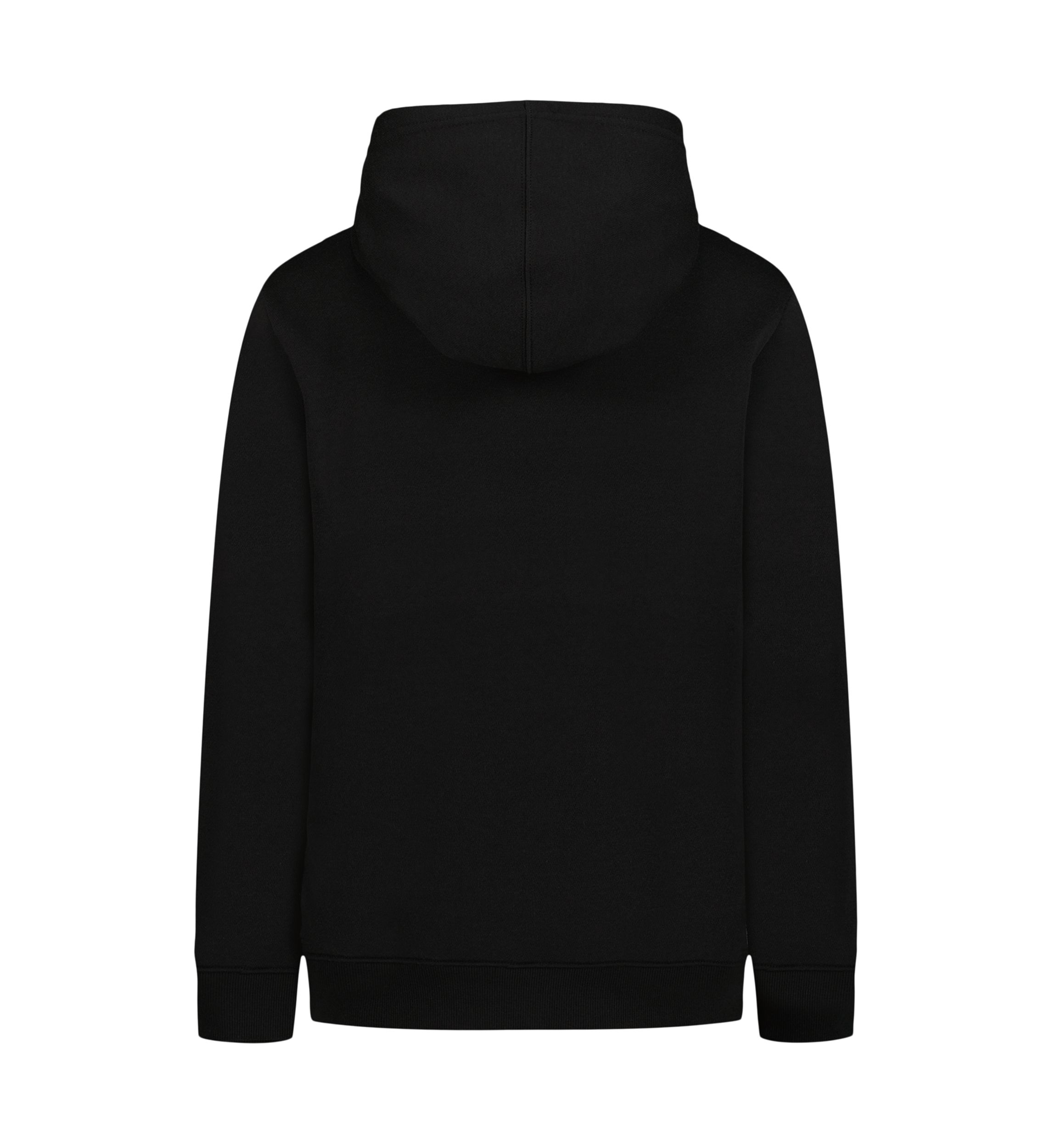 Boys 8-20 Frogskin Logo Graphic Fleece Hoodie