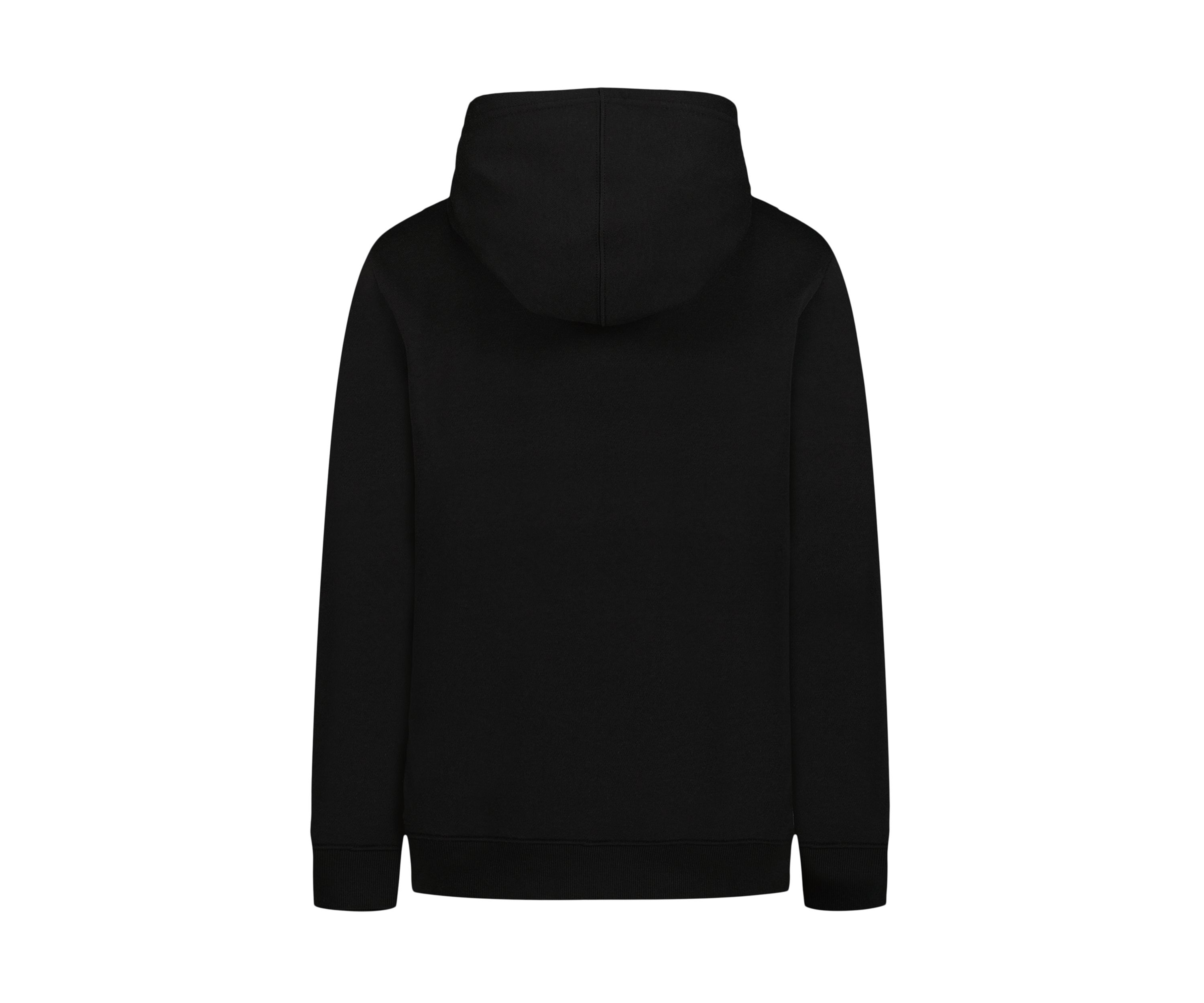 Boys 8-20 Frogskin Logo Graphic Fleece Hoodie