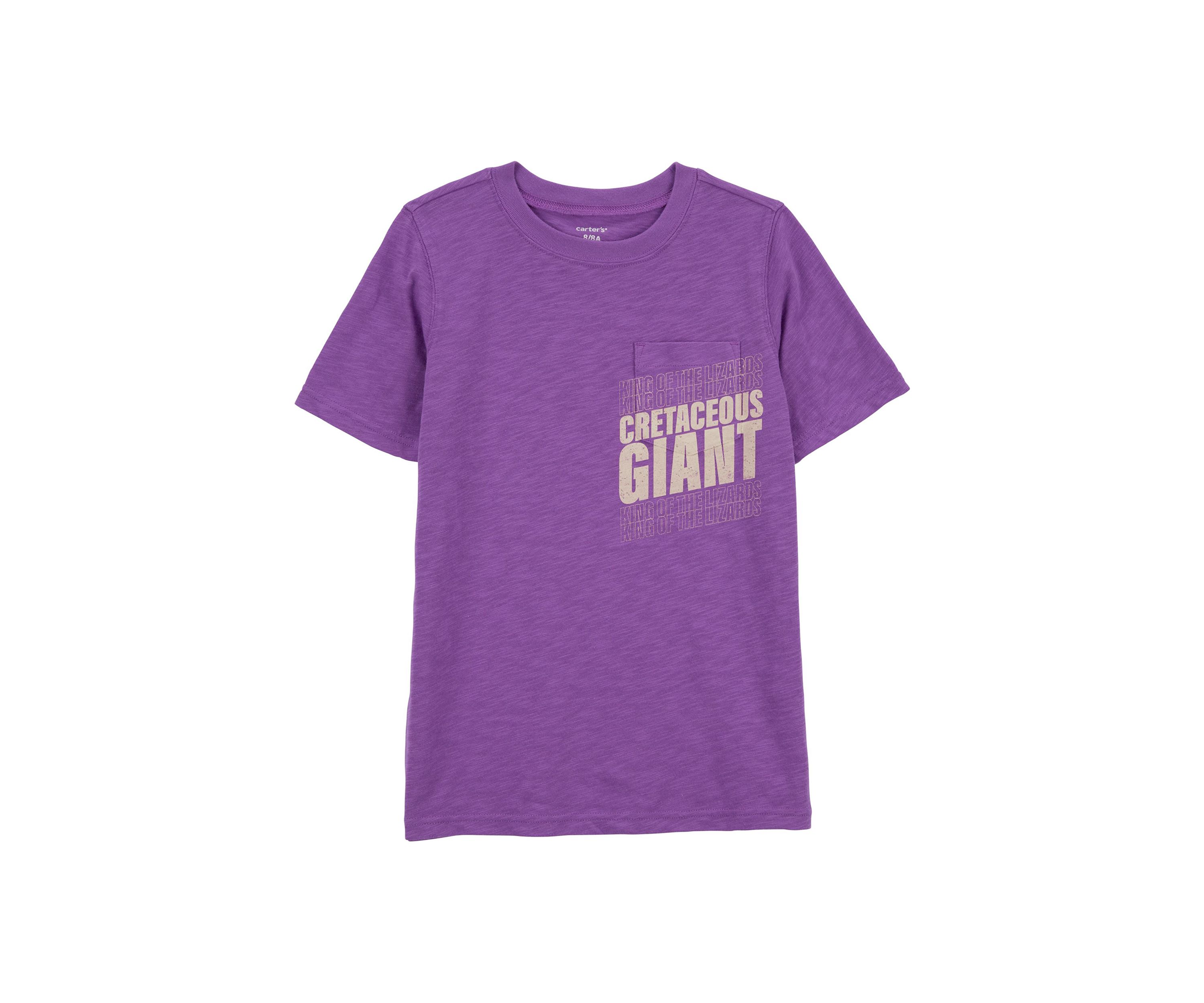 Boys 4-7 Short Sleeve T-Rex Graphic T-Shirt