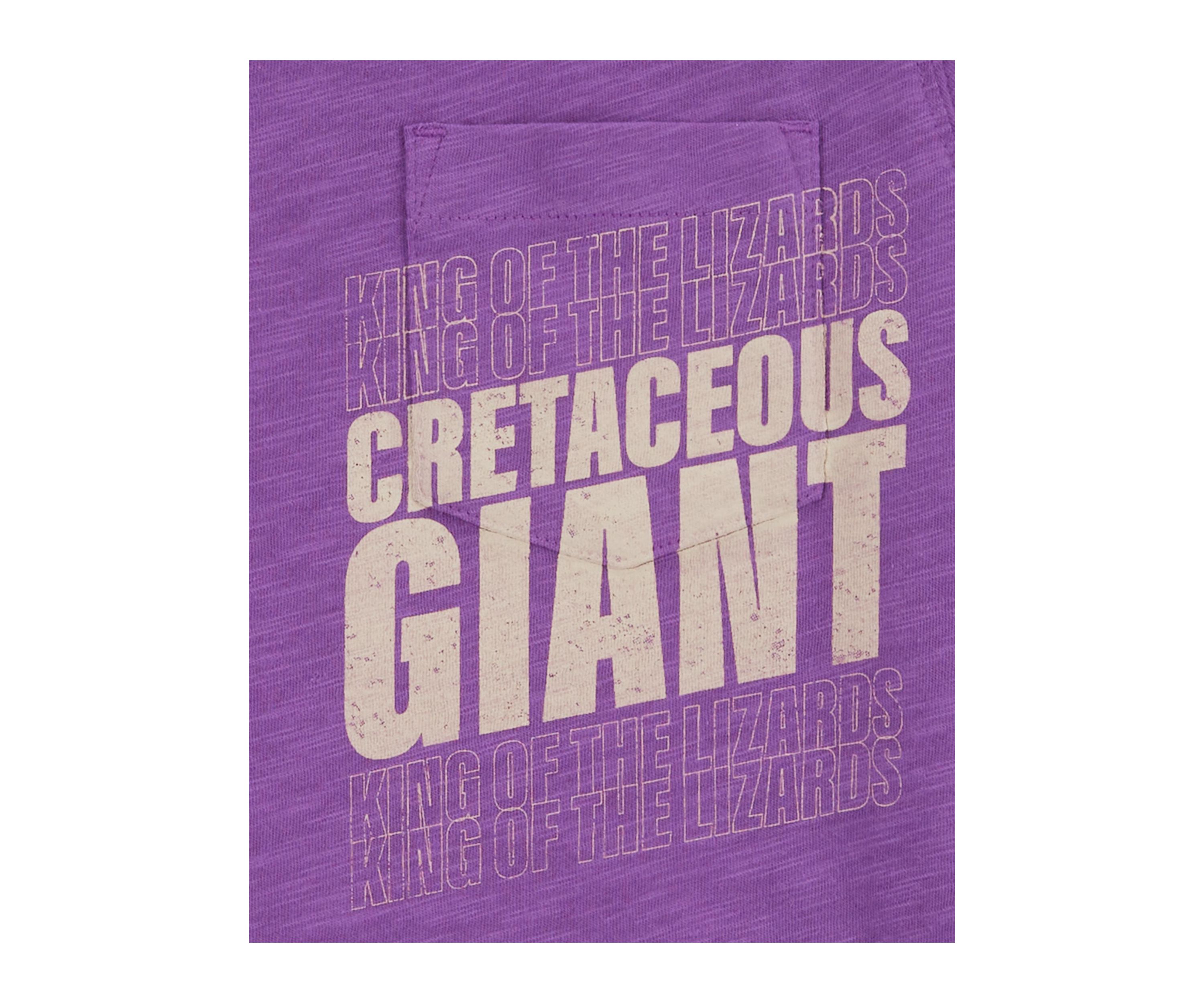 Boys 4-7 Short Sleeve T-Rex Graphic T-Shirt