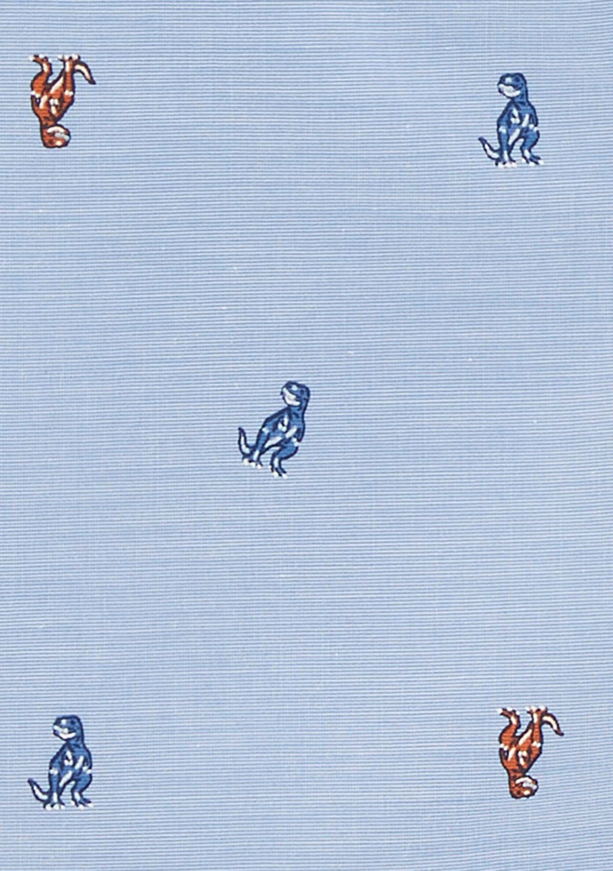 Boys 4-7 Printed Button Front Shirt