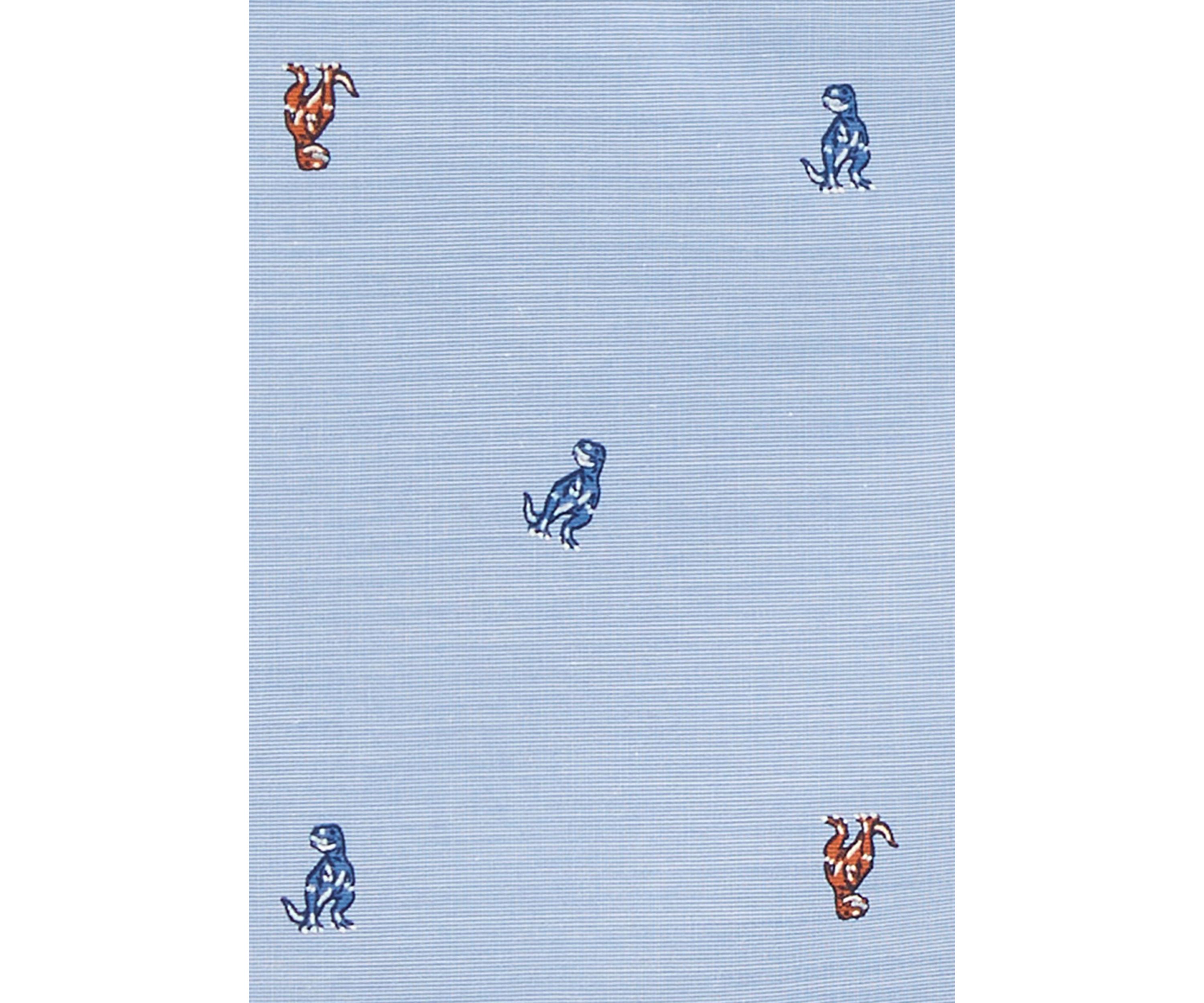Boys 4-7 Printed Button Front Shirt