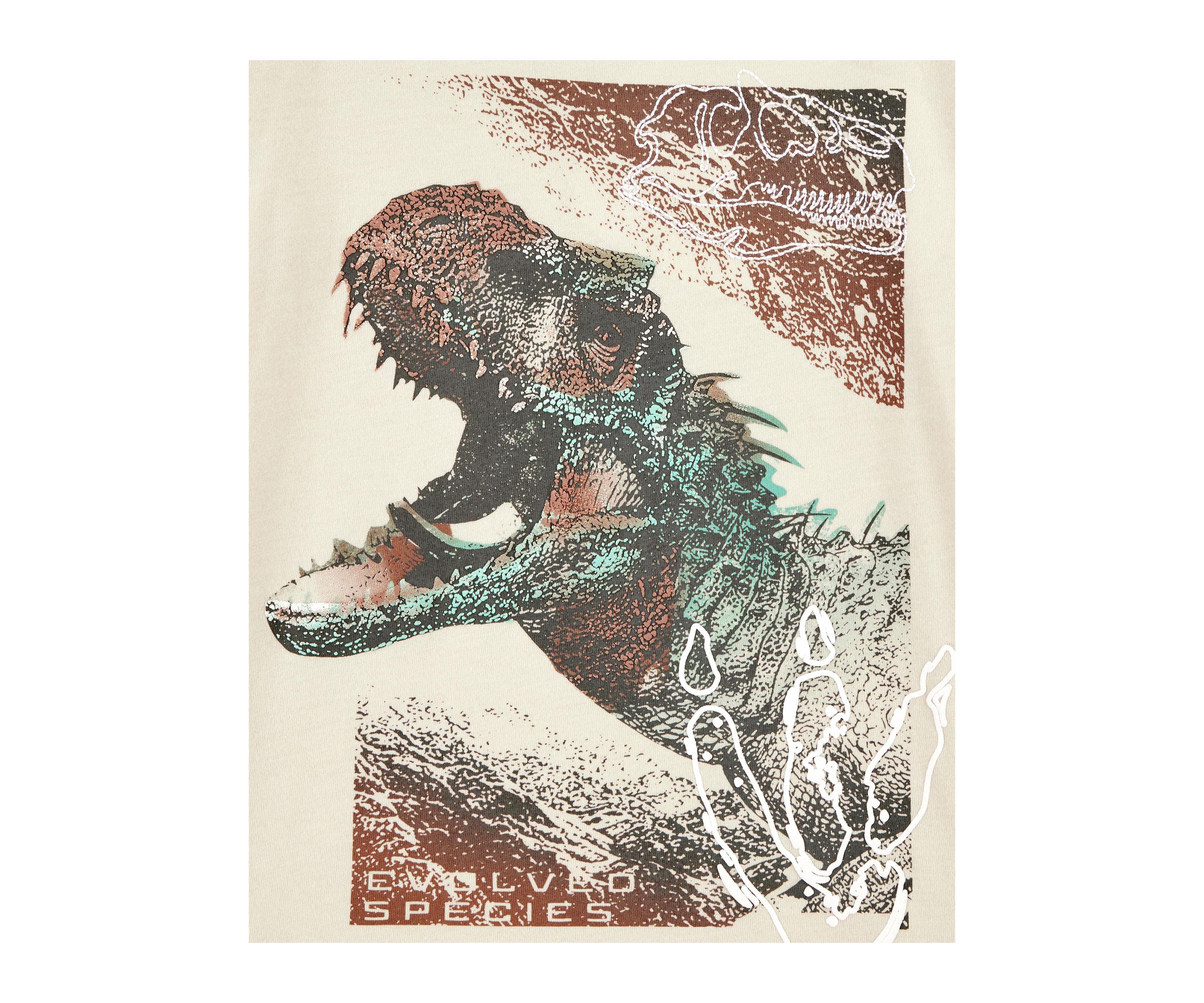 Boys 4-7 Dinosaur Graphic T-Shirt